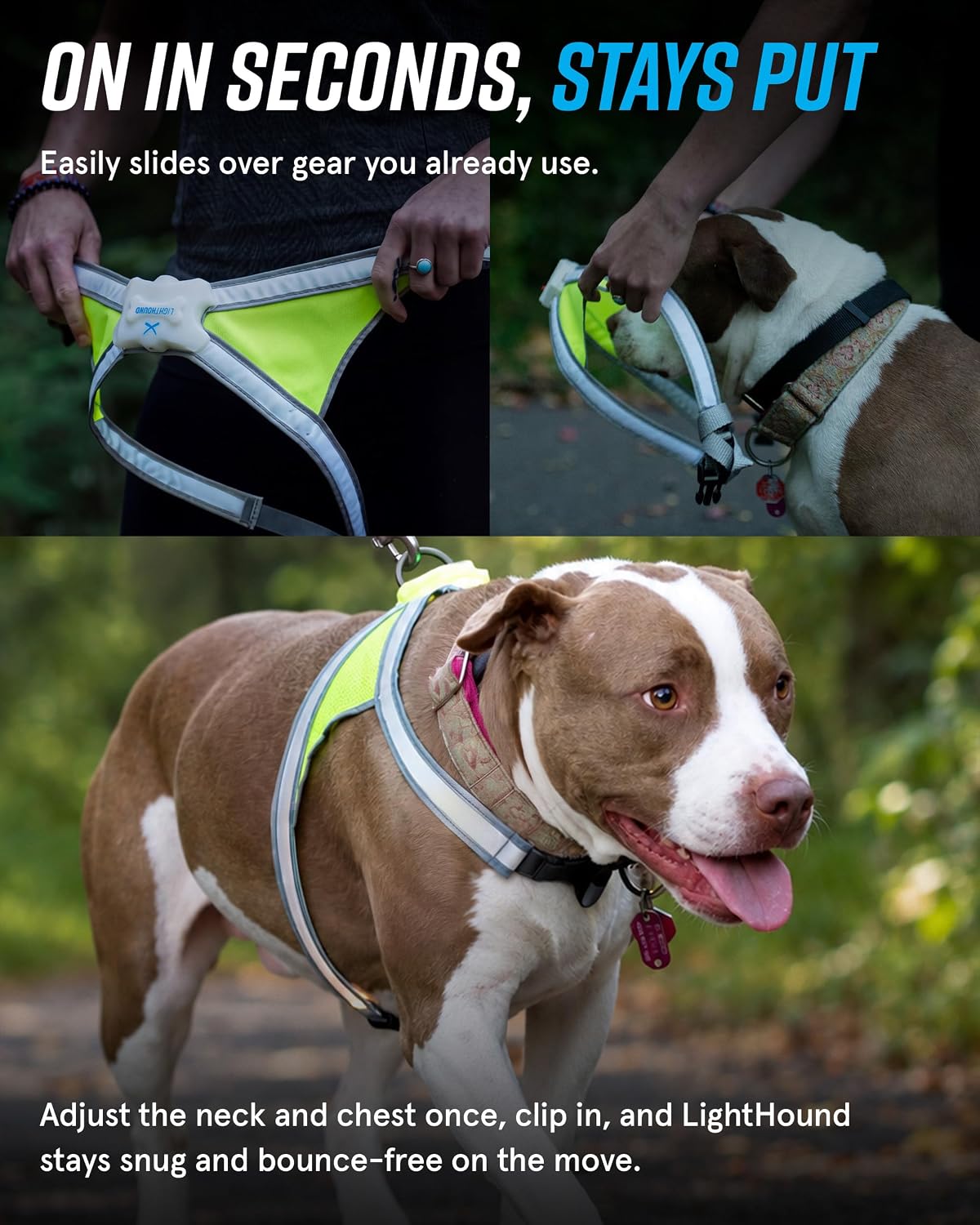 noxgear LightHound Light Up Reflective Dog Harness, Large