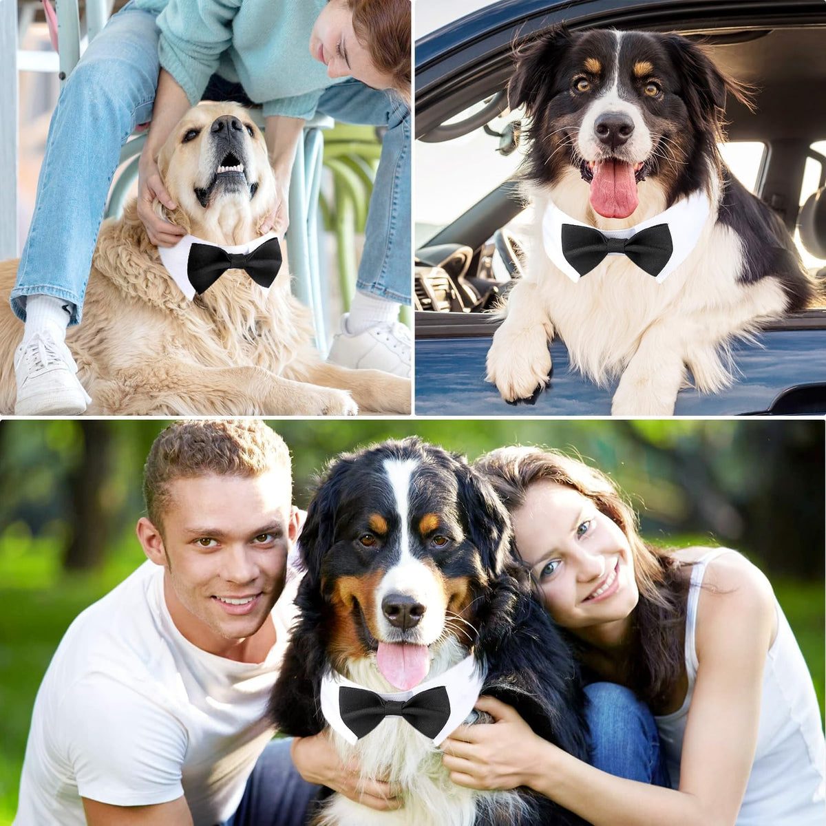 Segarty Dog Bow Tie for Neck Girths 16.5-21.2 in, Adjustable Bowtie Collar for Extra Large Dogs, Dog Neck Tie Tuxedo Com