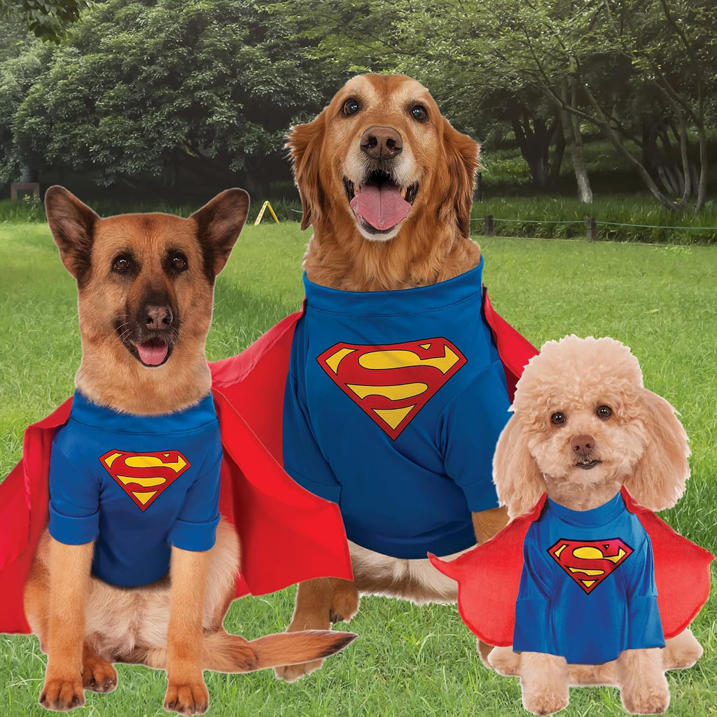 DC Comics Superheroes: Superman Pet Costume for For Dogs or Cats by Rubies, Medium
