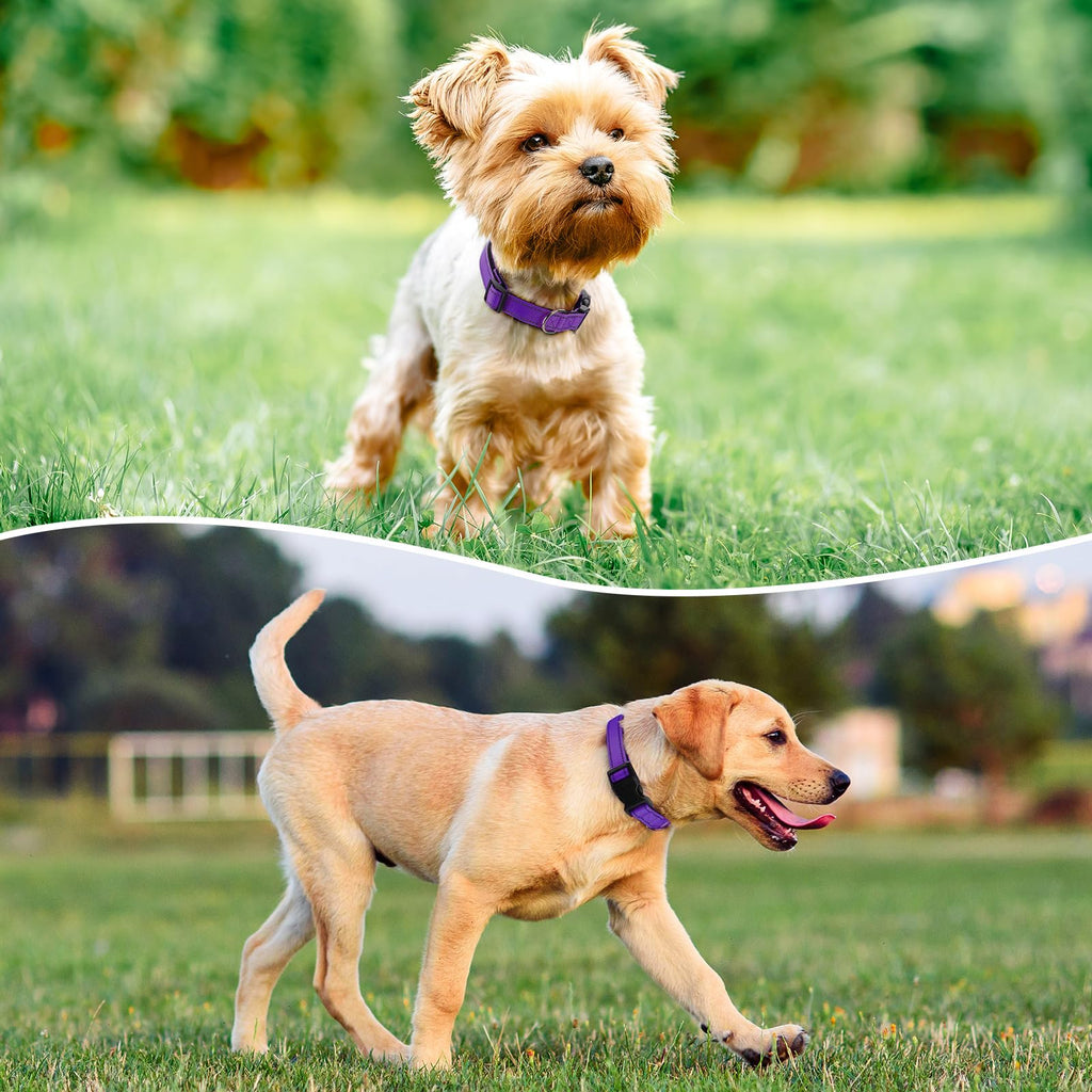 PenSeepet Reflective Dog Collar, Adjustable Nylon for Medium Dogs,Purple