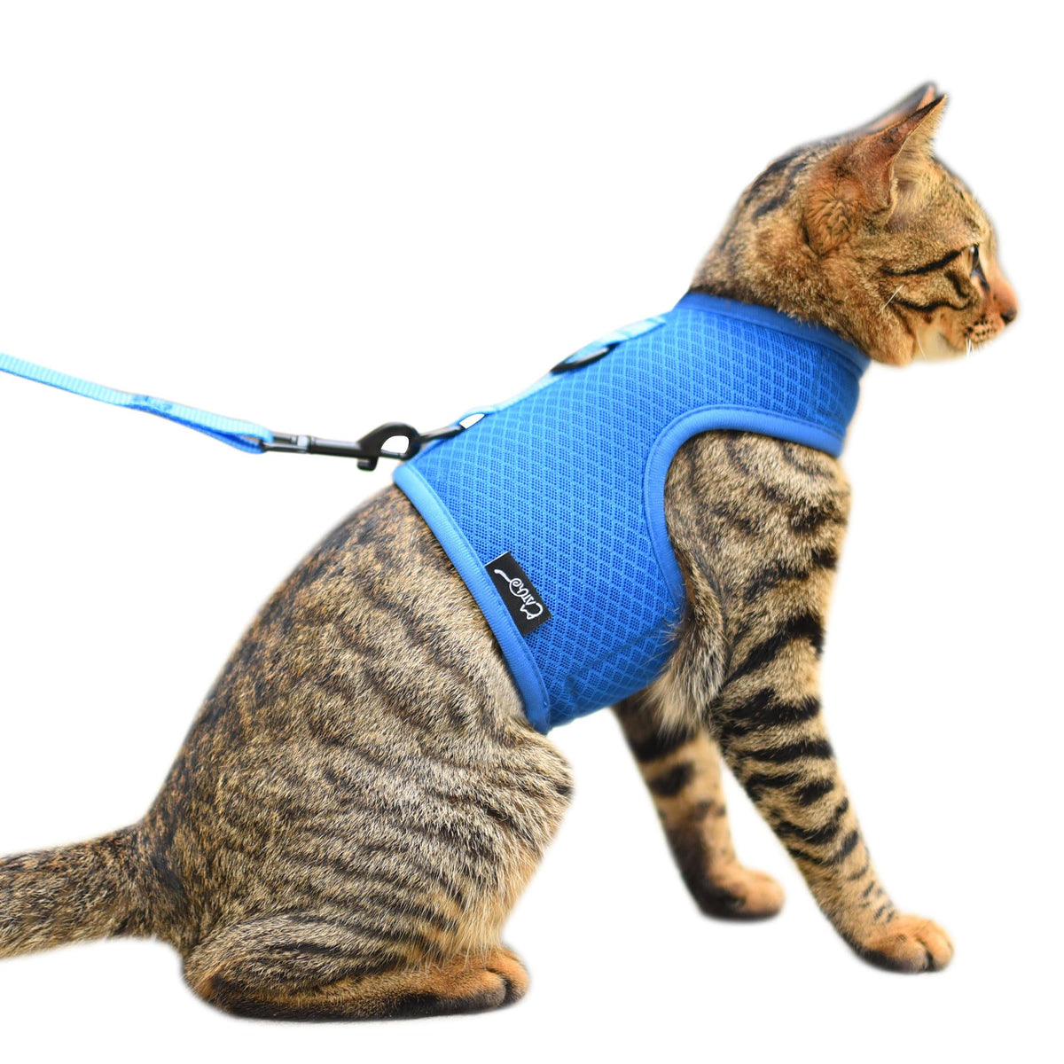 Cat Harness and Leash Set for Walking Escape Proof, Blue, Large