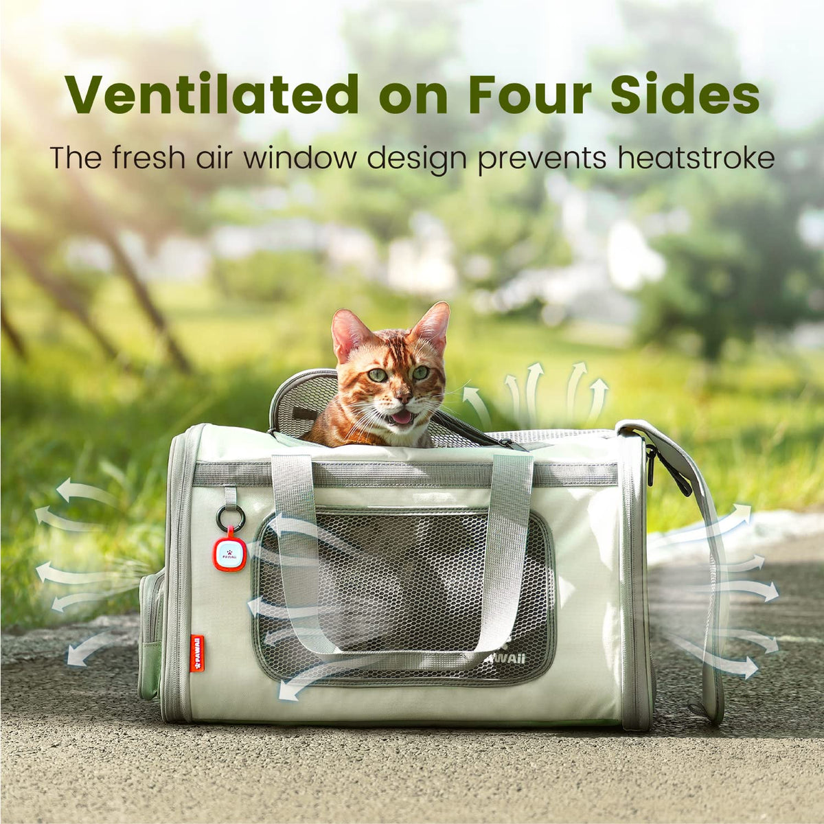 Pawaii Cat Carrier Airline Approved Expandable Breathable Safety Leash