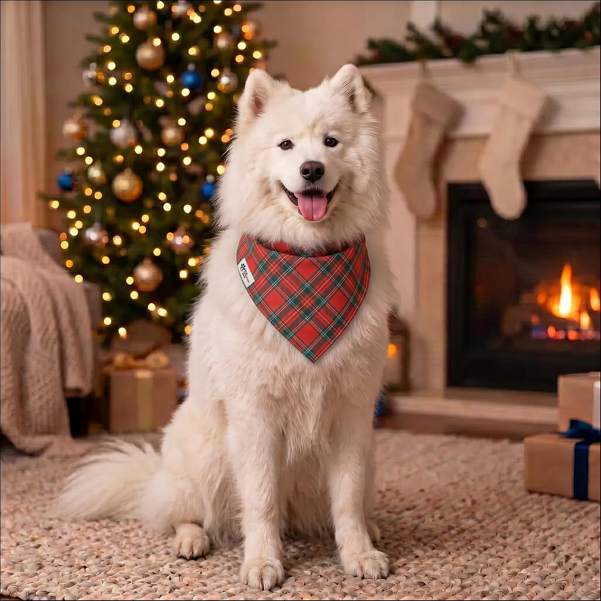 Christmas Tartan Plaid Dog Bandana 2-in-1 Adjustable Nylon Strap - Medium