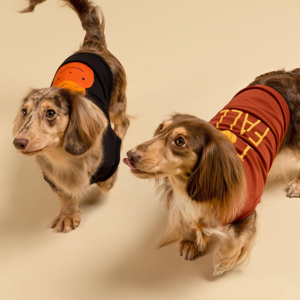 Fitwarm Thanksgiving Triple Pumpkins Dog Shirt, Fall Dog Clothes for Small Dogs Boy Girl, Funny Doggy Tshirt, Pet Outfit