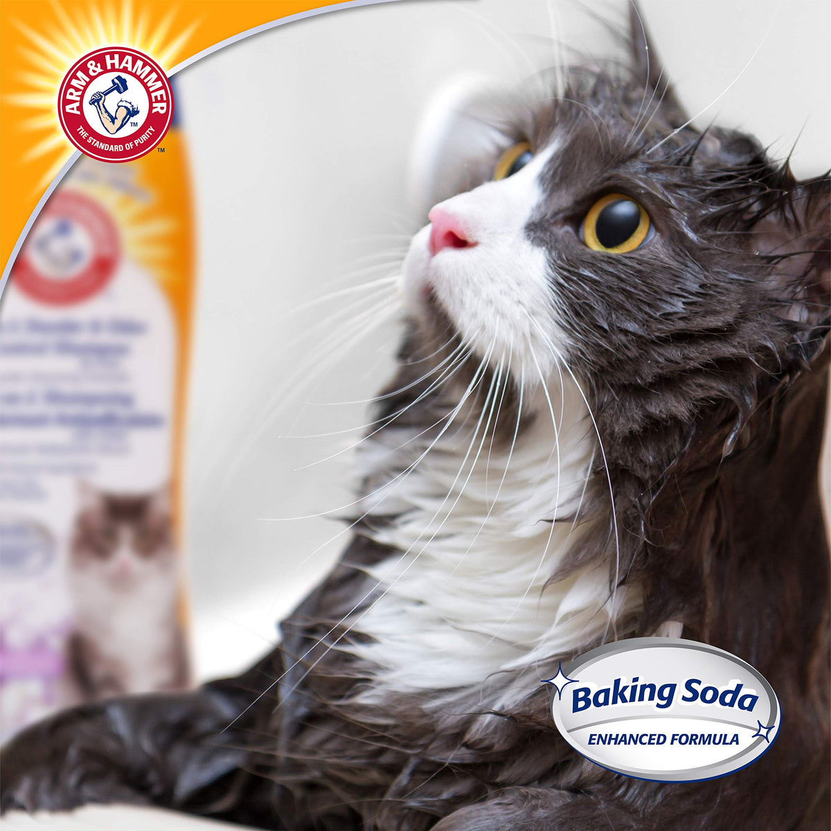Arm & Hammer Cat Shampoo, 2-in-1 Deodorizing, Dander Reducing, 20 Fl Oz