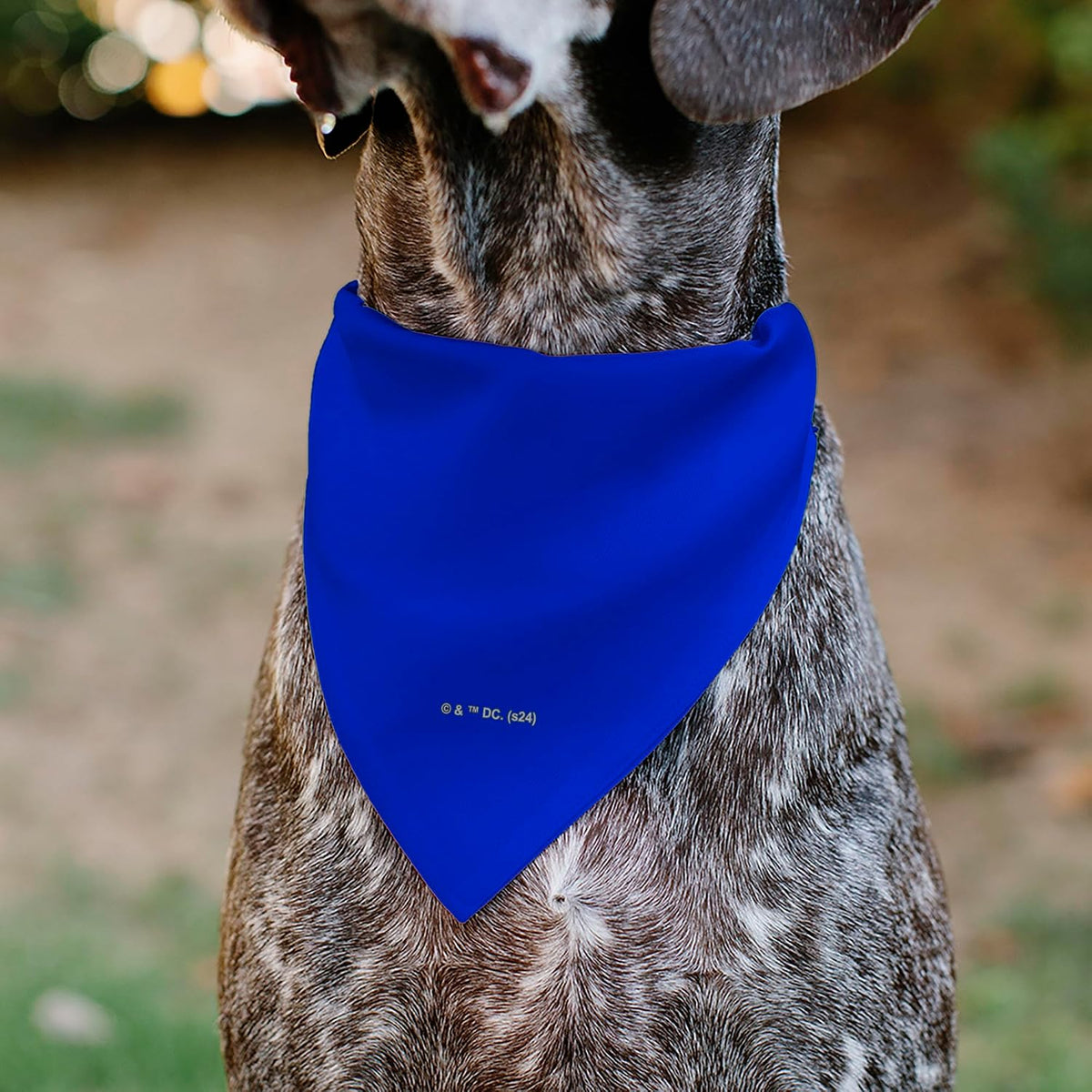 DC Comics Pet Bandana Slide On Slip Through