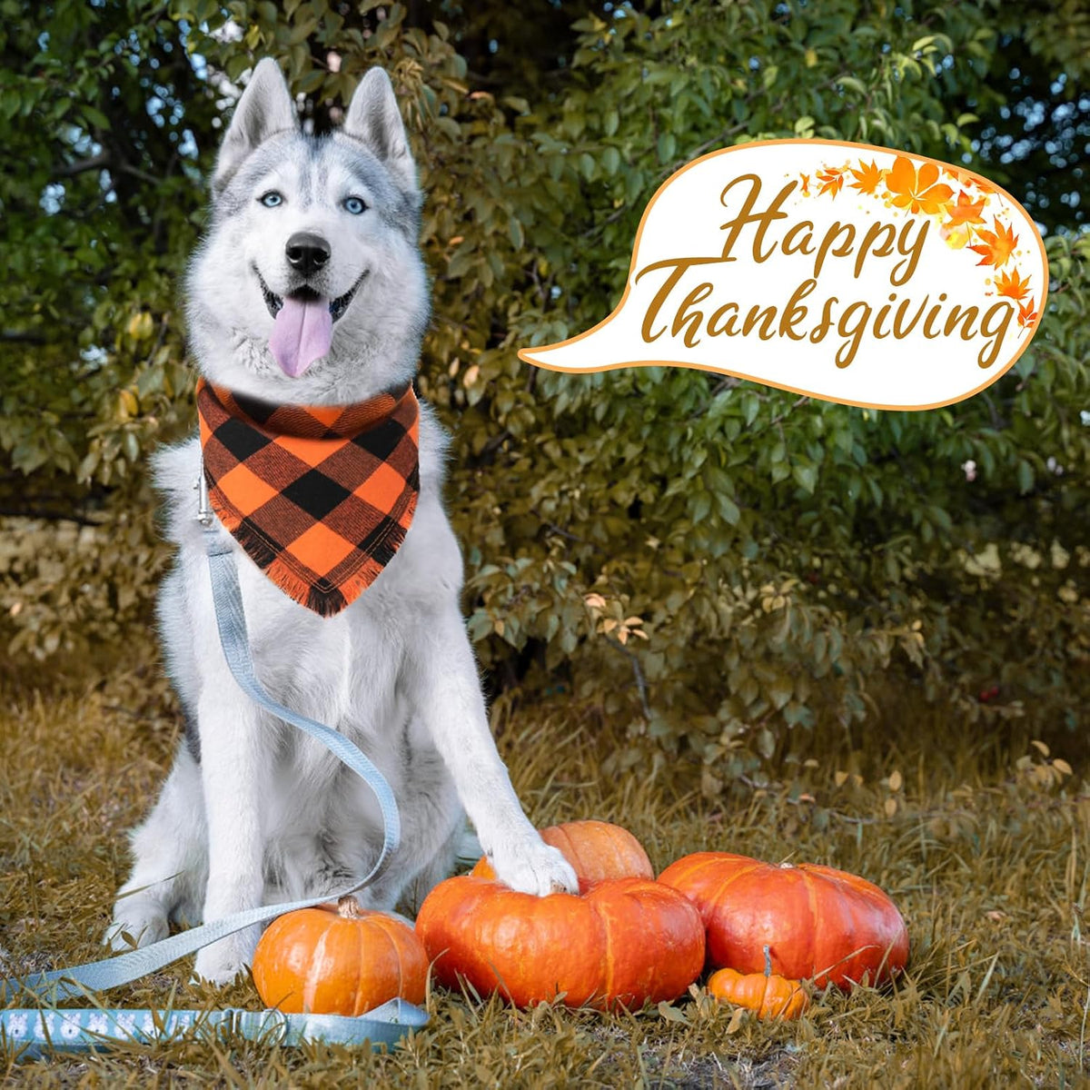 Kytely Dog Bandanas Fall Thankgiving XLarge 2Pack, Plaid Pet Scarf