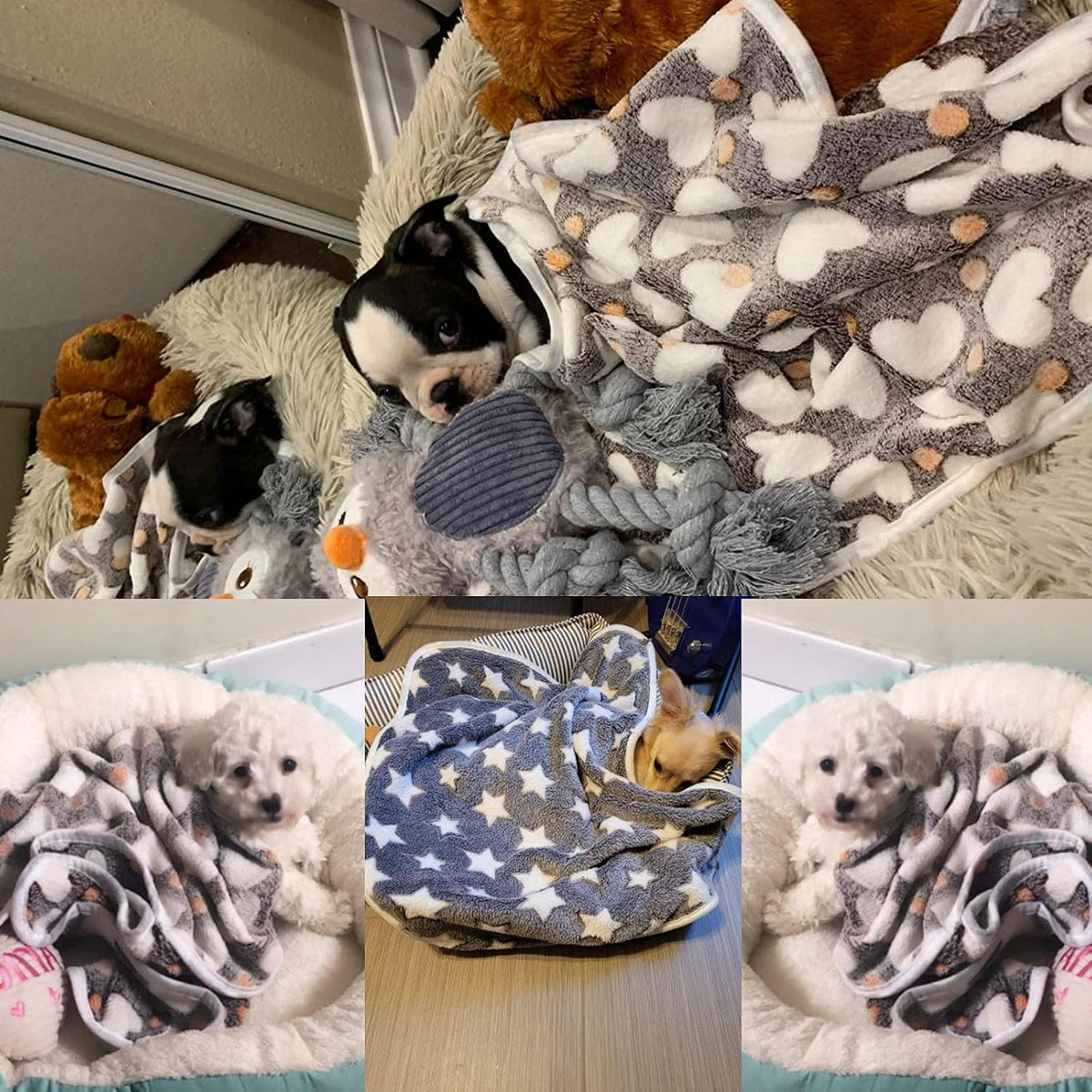 1 Pack 3 Puppy Blanket, Fleece Pet Small Dog Blanket for Puppy Cat, 23"x15"