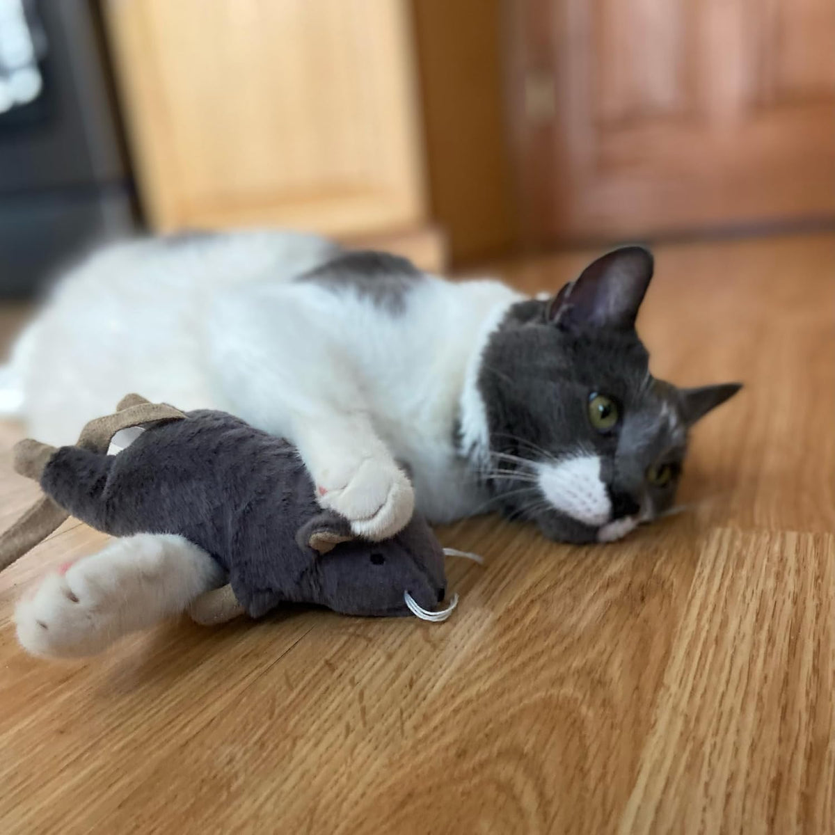 SPOT Big Mouse Bertha Cat Toy with Catnip – Lifelike Plush Mouse, Crinkle Sound, Large 7in Size, for Cuddling, Chasing, 