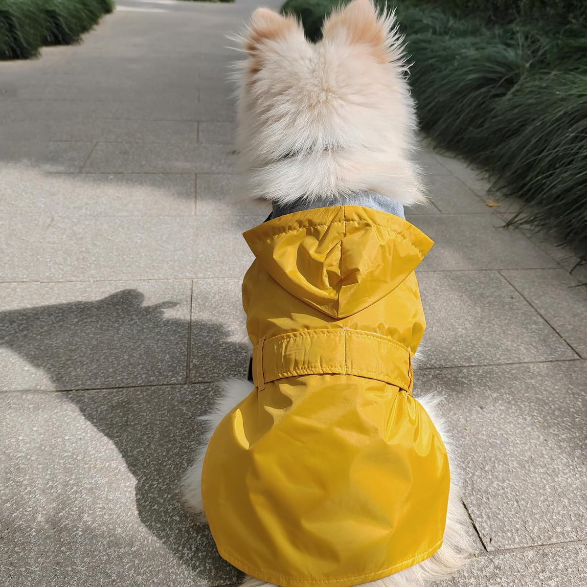 Dog Raincoat Small Dog Rain Jacket Waterproof Pet Rain Suit Double-Layered Poncho for Puppy Small Dogs Hooded Warm Linin