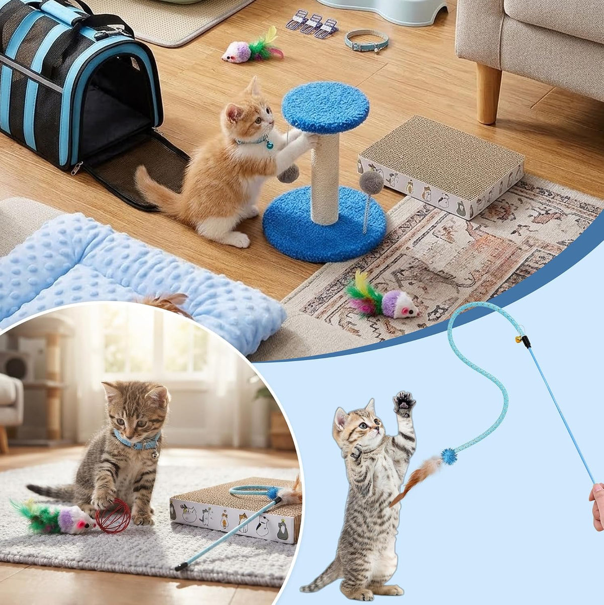 12 Pcs Kitten Starter Kit for Indoor Cats, Kitten Essentials, Blue