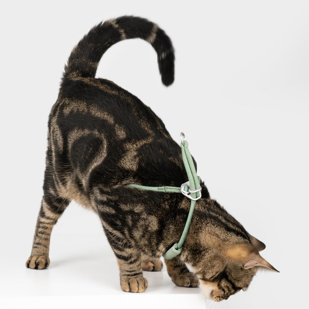 BuddyArmor Escape Proof Y Shape Cat Harness Anti-Choke (Olive, M)