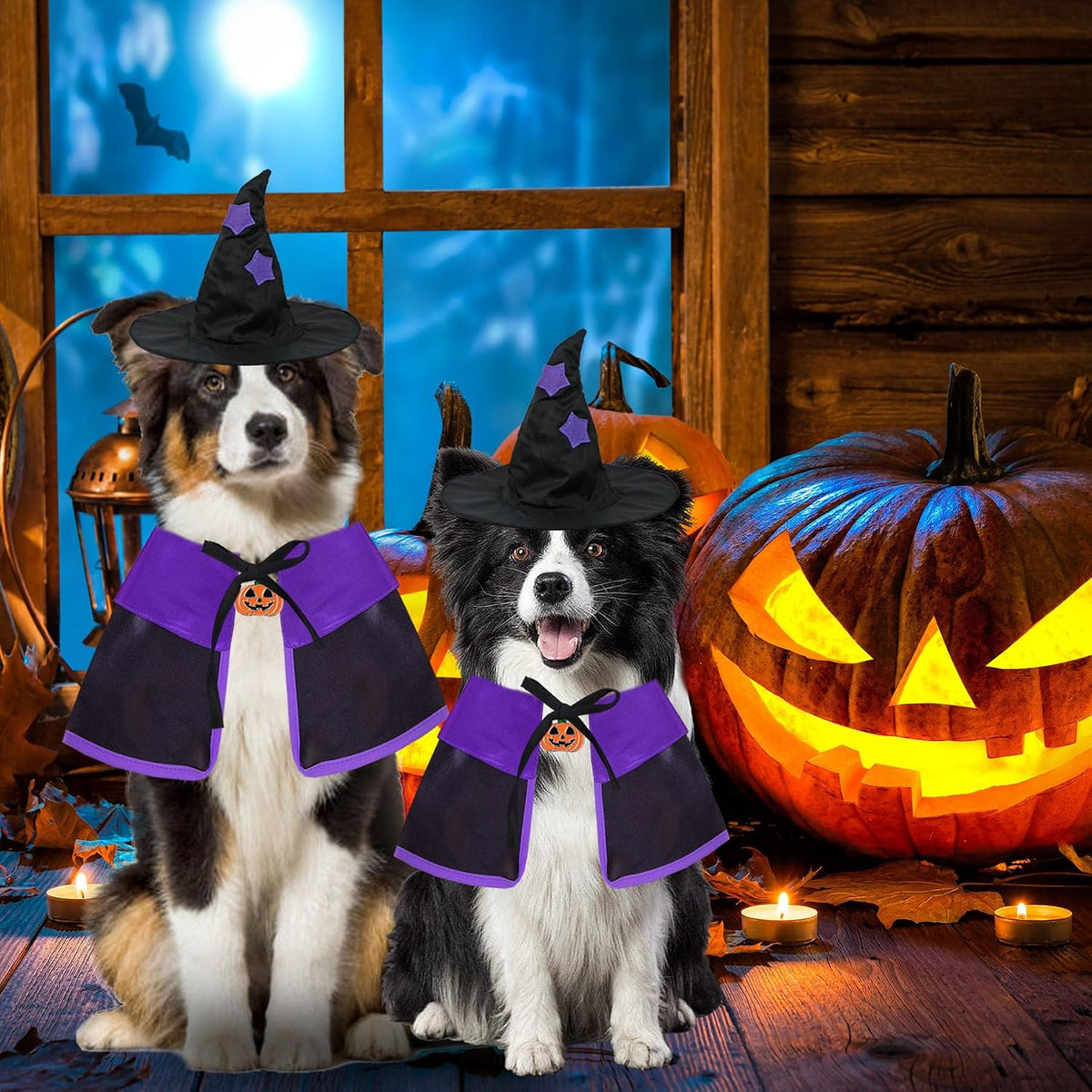 GOYOSWA Dog Halloween Costumes, Dog Witch Costume Halloween Dog Witch Cloak Cape Wizard Hat Halloween Costumes for Small