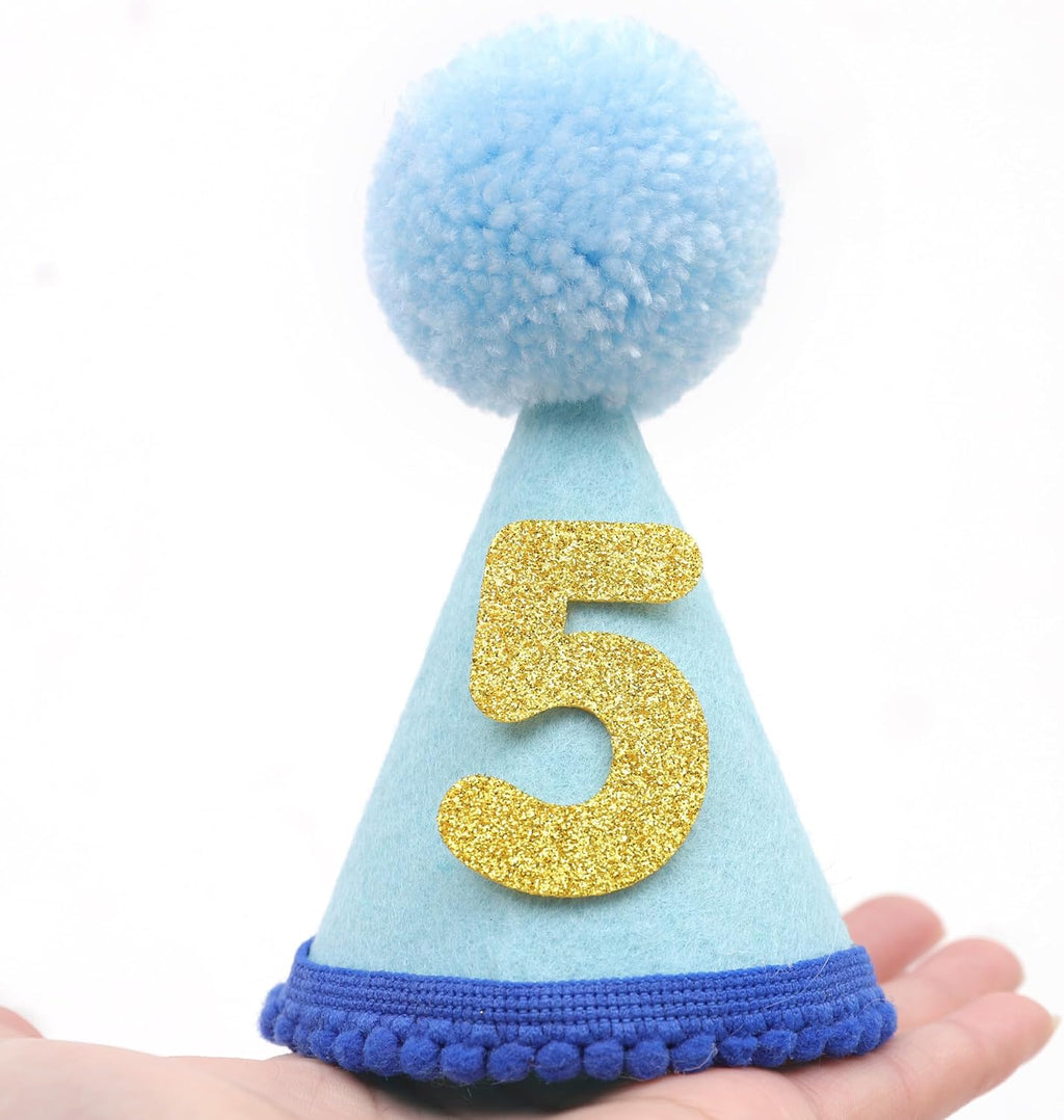 Pet Birthday Hat with Interchangeable Numbers 1-10 | Adjustable Pet Party Cone Hat for Dogs & Cats | Puppy Birthday Phot
