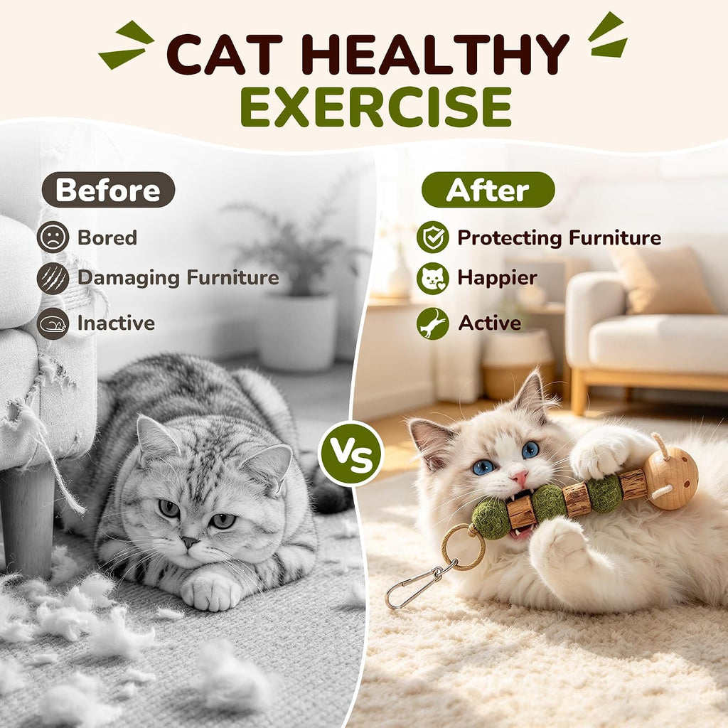 Interactive Cat Toys with Natural Catnip&Silvervine,Fish＆Caterpillars Set