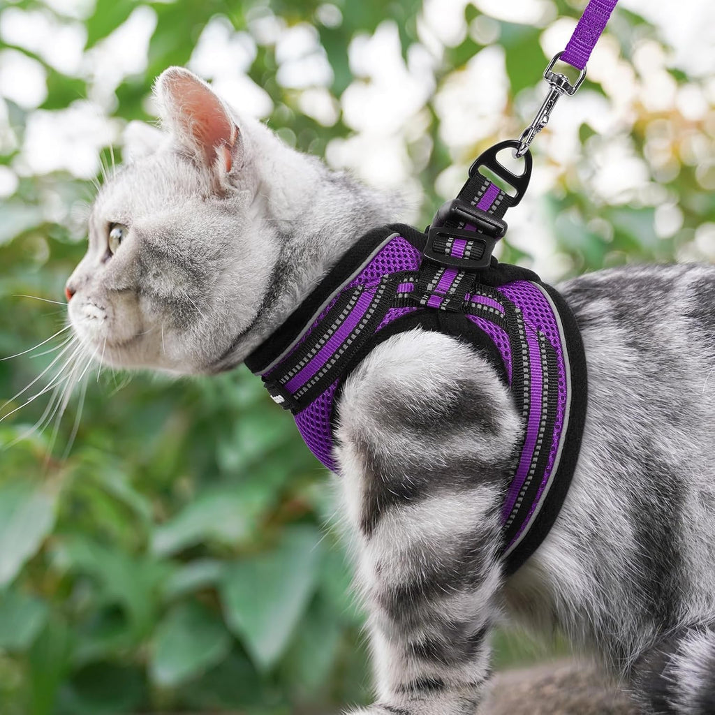rabbitgoo Cat Harness and Leash Set, Step-in Soft Vest, Purple
