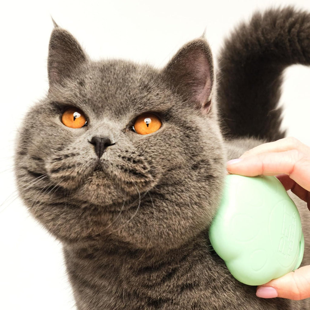 Pet Teezer Cat Brush for De-Shedding Short to Medium Fur, Green
