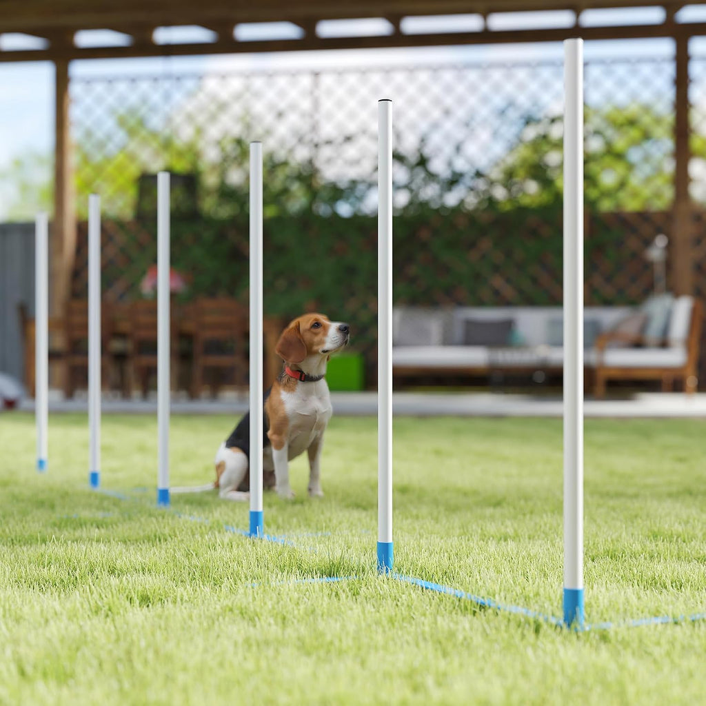 PawHut Dog Agility Training Equipment Set with Weave Poles Carry Bag White