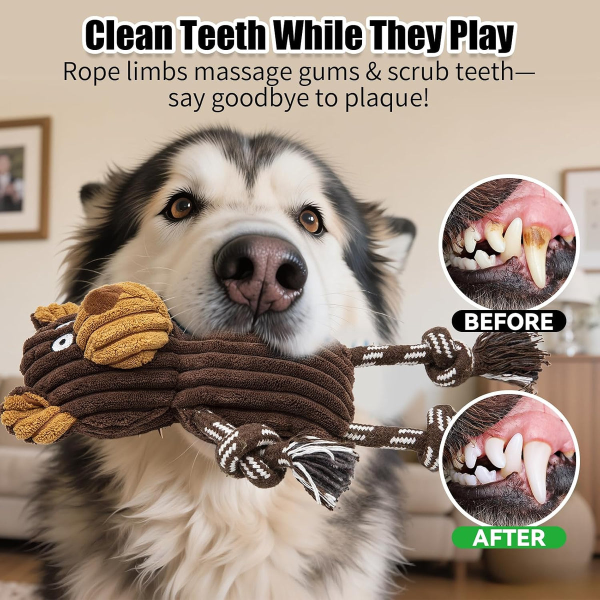 5 pack Large dog Squeaky Toys,Tough Stuffed Plush dog chew Toys Assortment ,Durable plush Animal dog Toys with Tug of Wa
