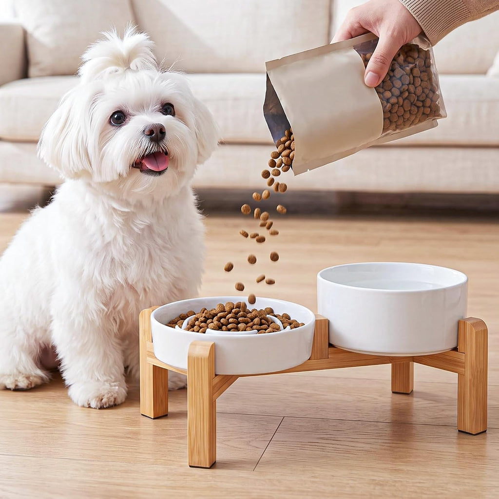 Raised Ceramic Slow Feeder Dog Bowls(0.8 Cups) with Dog Water Dish(700ML)