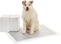 Amazon Basics Carbon Odor Control Dog and Puppy Pee Pads, 5-Layer Leak-Proof Super Absorbent, Quick-Dry Surface for Pott