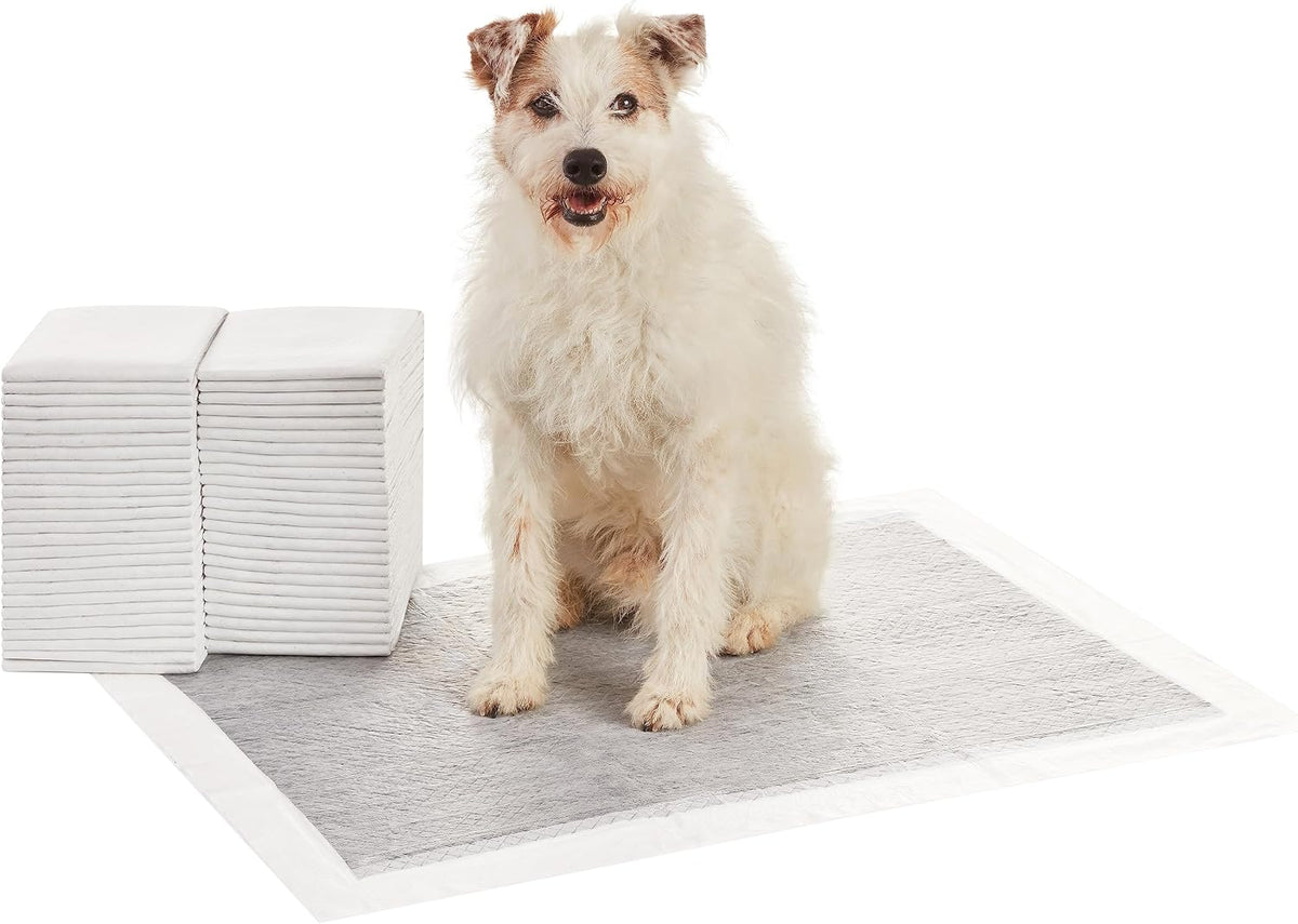 Amazon Basics Carbon Odor Control Dog and Puppy Pee Pads, 5-Layer Leak-Proof Super Absorbent, Quick-Dry Surface for Pott