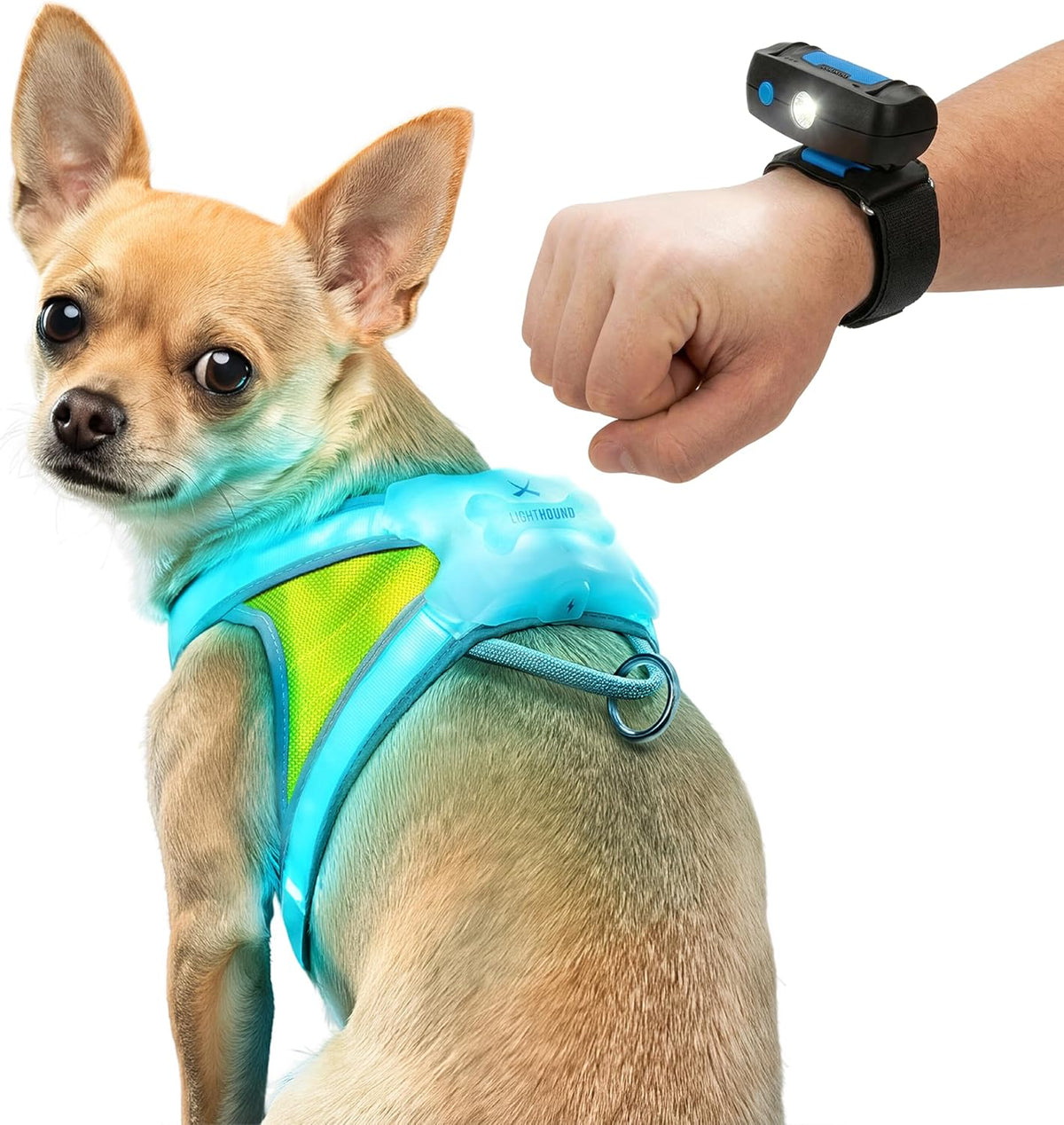 noxgear LightHound Light Up Reflective Dog Harness, Large
