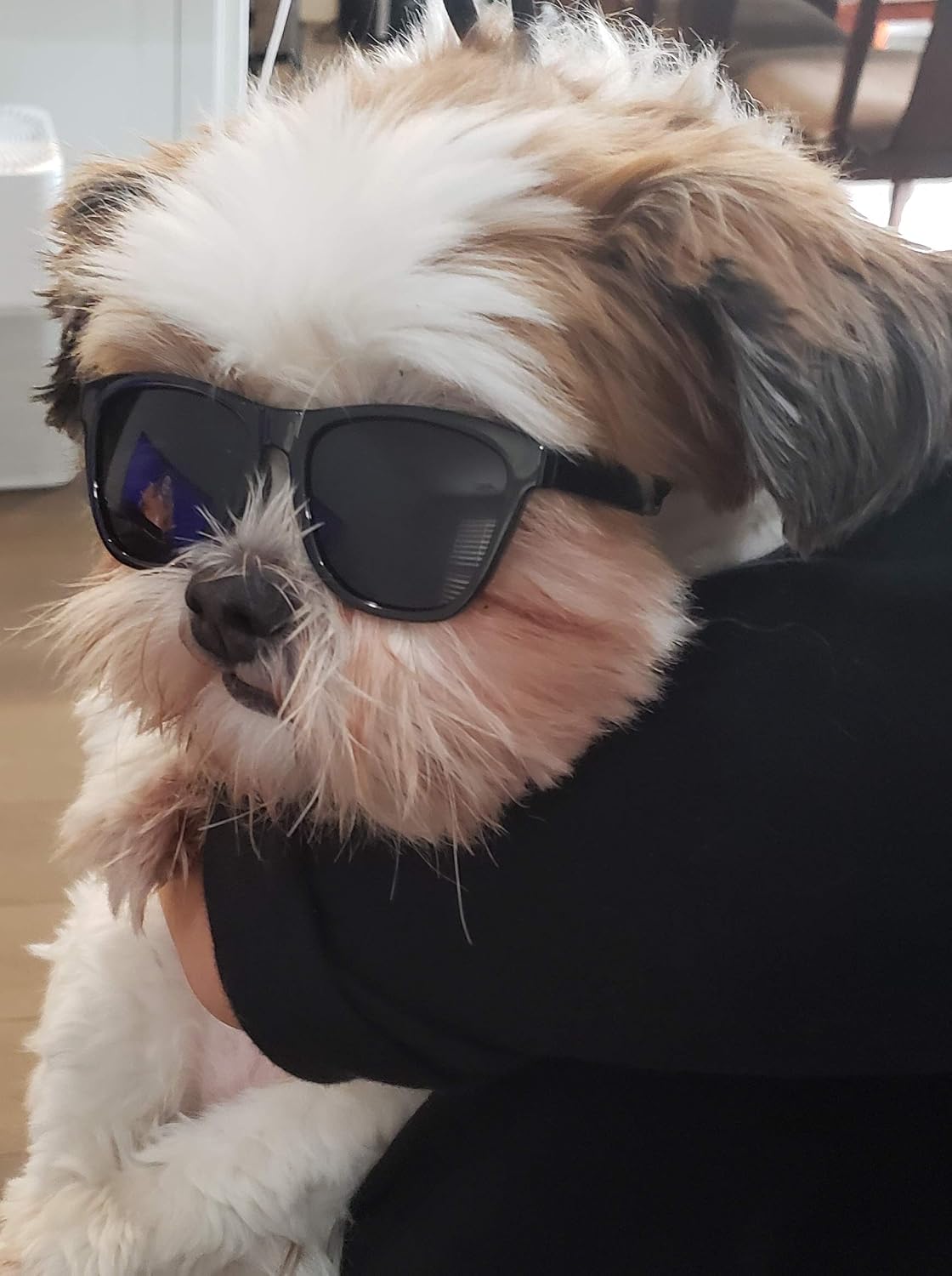 G014 Retro 80s Pet Dog Sunglasses Teacup Toy Small Medium Breed (S Dog up to 15 lbs, Black)