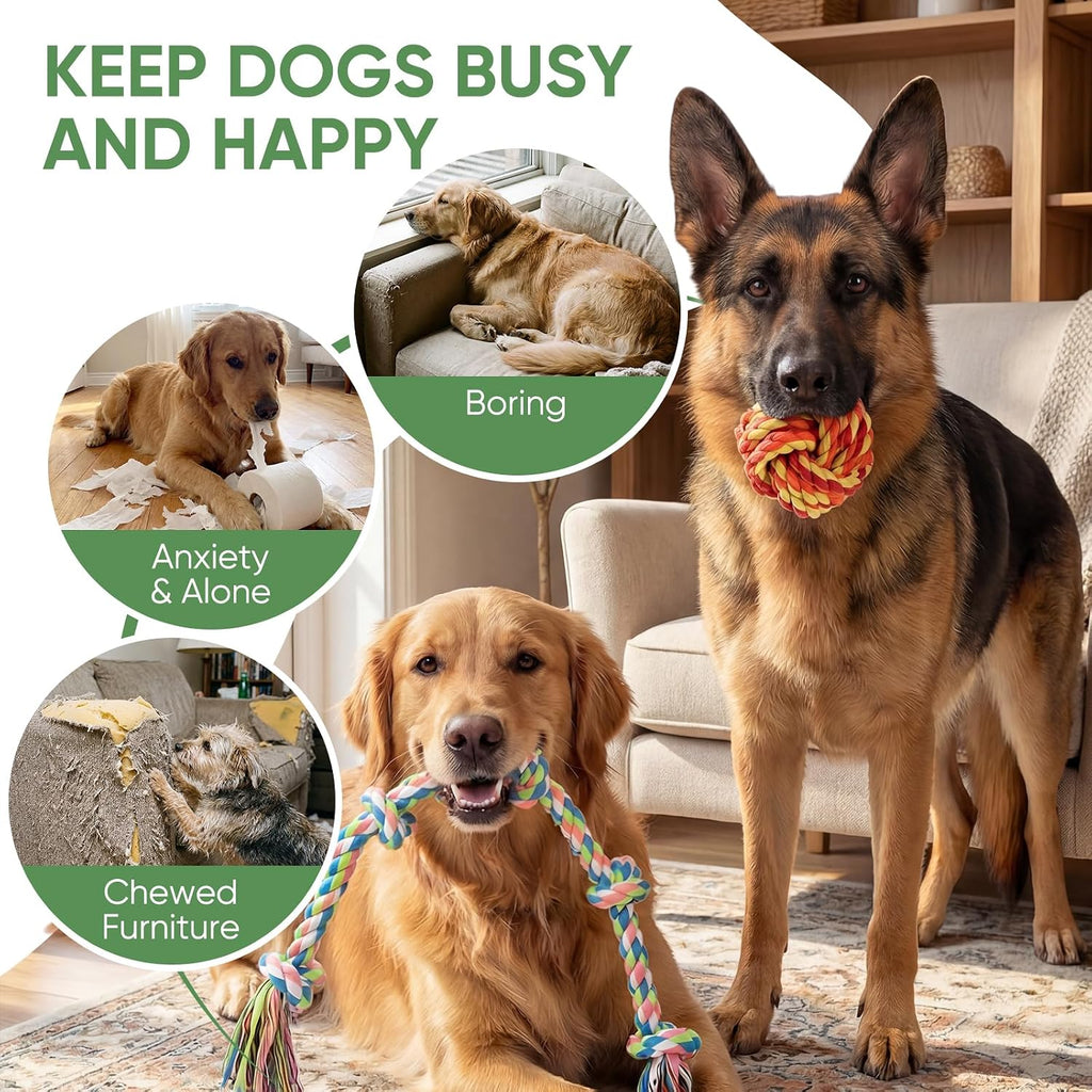 Dog Rope Toys,10 Pack Cotton Chew Tug Toys for Small Medium Dogs