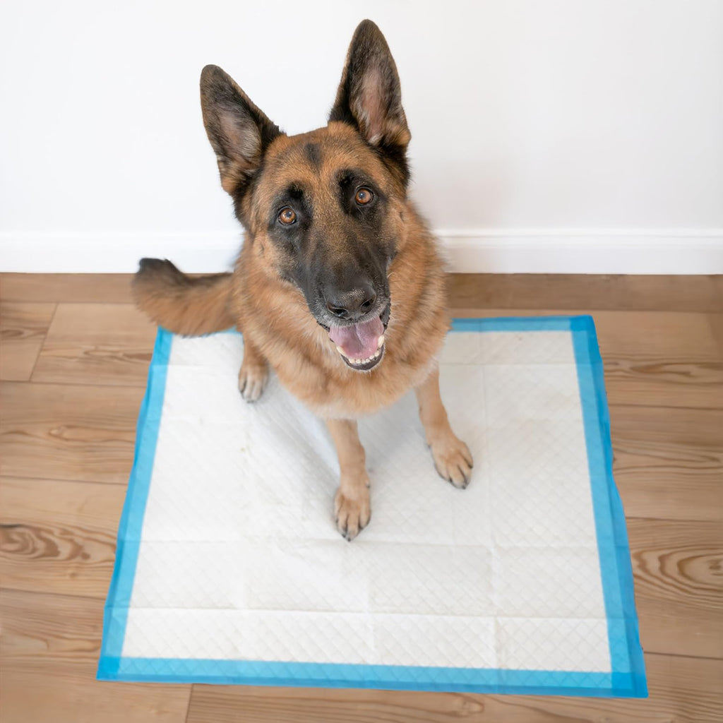 Four Paws Wee-Wee Superior Performance Extra Large Pee Pads for Dogs with Runoff Barrier Edge Guard Protection, Puppy & 