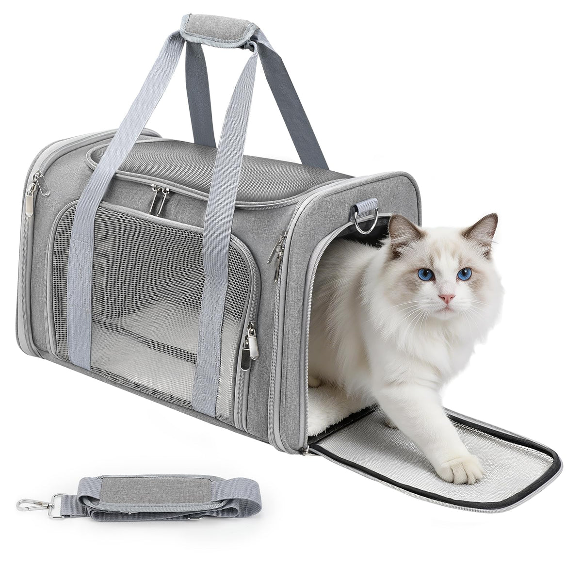 Zedkeys Cat Carrier Soft, Dog Carriers for Small Dog/Large Cat (Up to 16lb)