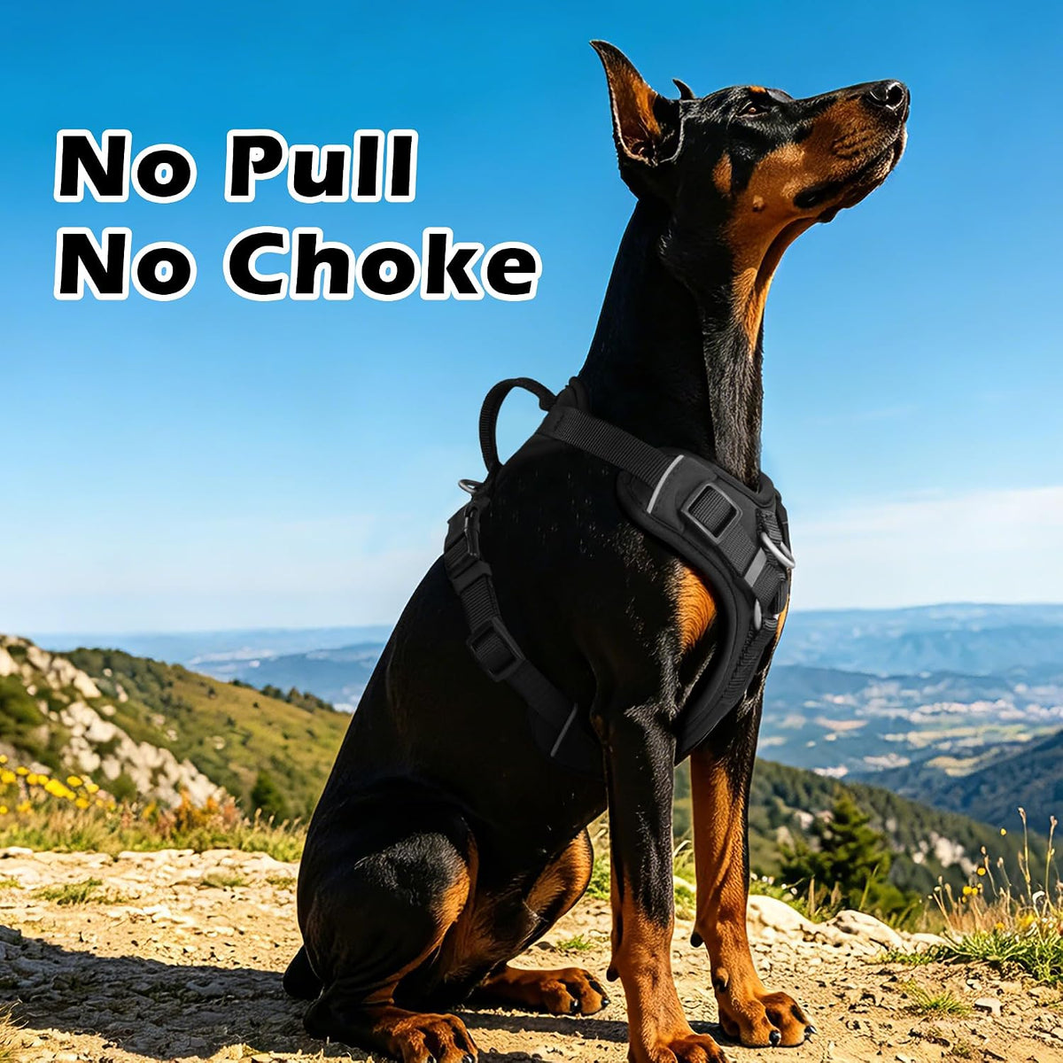 Wolfone Small Dog Harness Reflective Adjustable Black Small