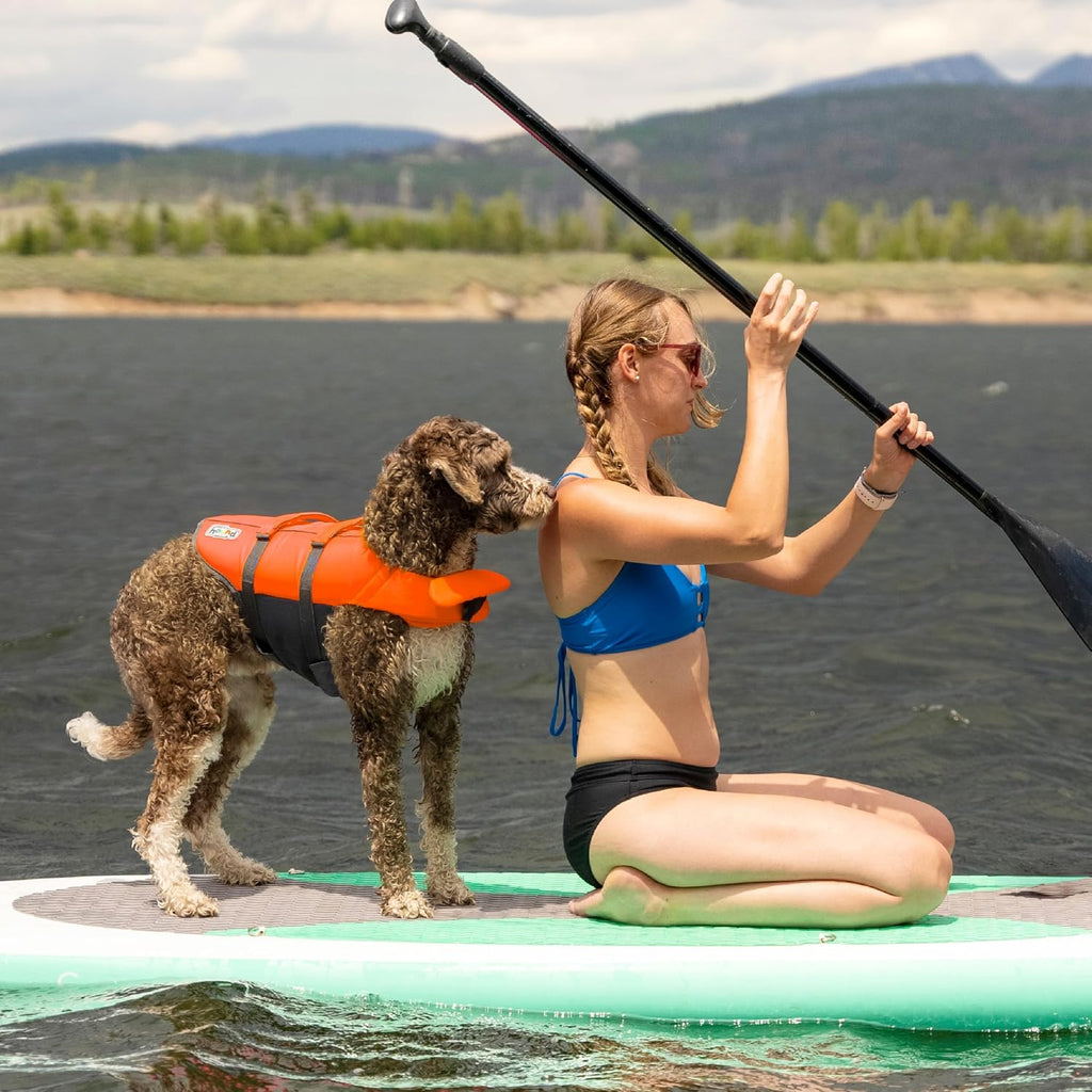 Outward Hound Granby Splash Dog Life Jacket, Life Vest, Orange, Medium