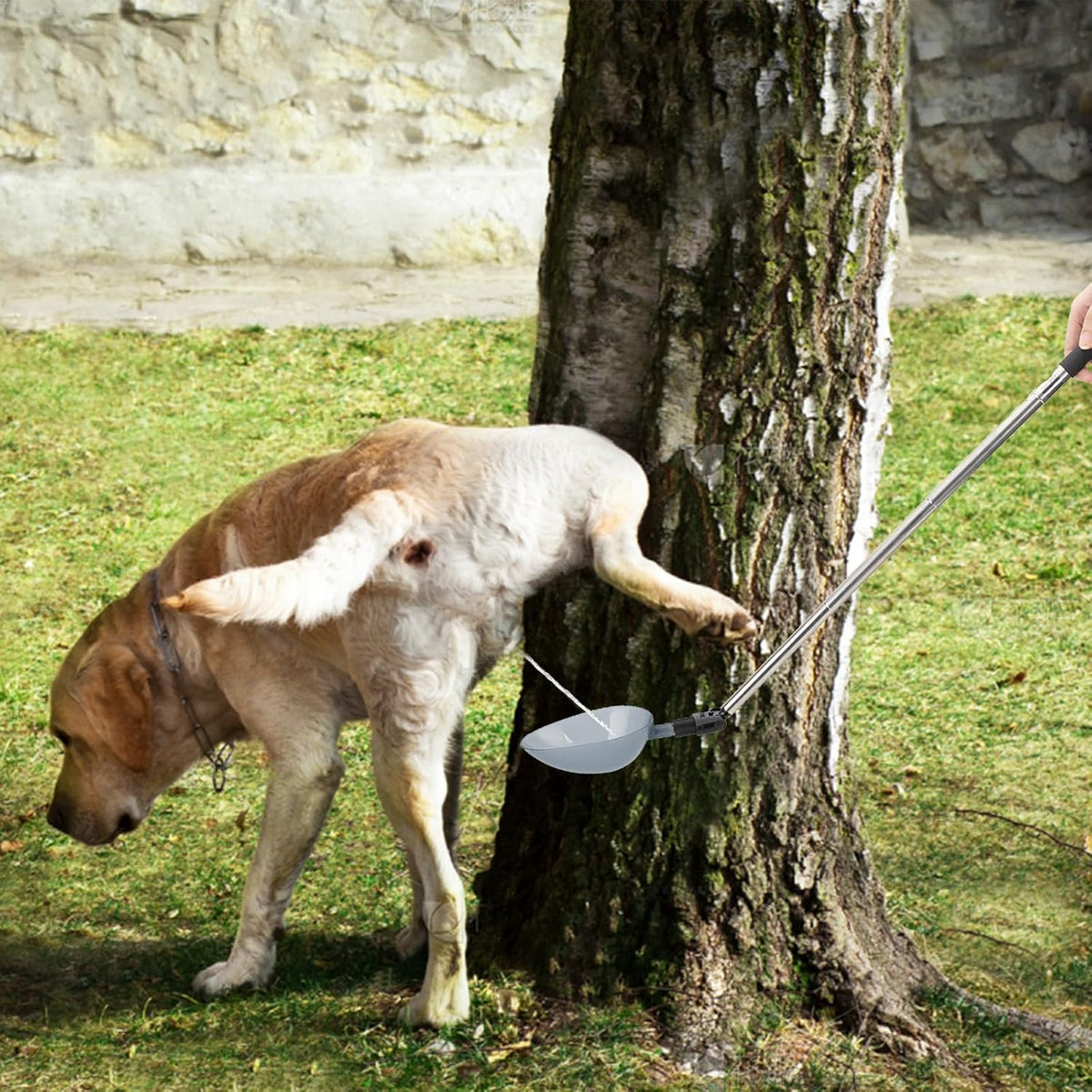Dog Urine Collector, Extended 42" Dog Urine Sample Catcher for Vets, Telescopic Urine Collector for Small & Large Dogs a