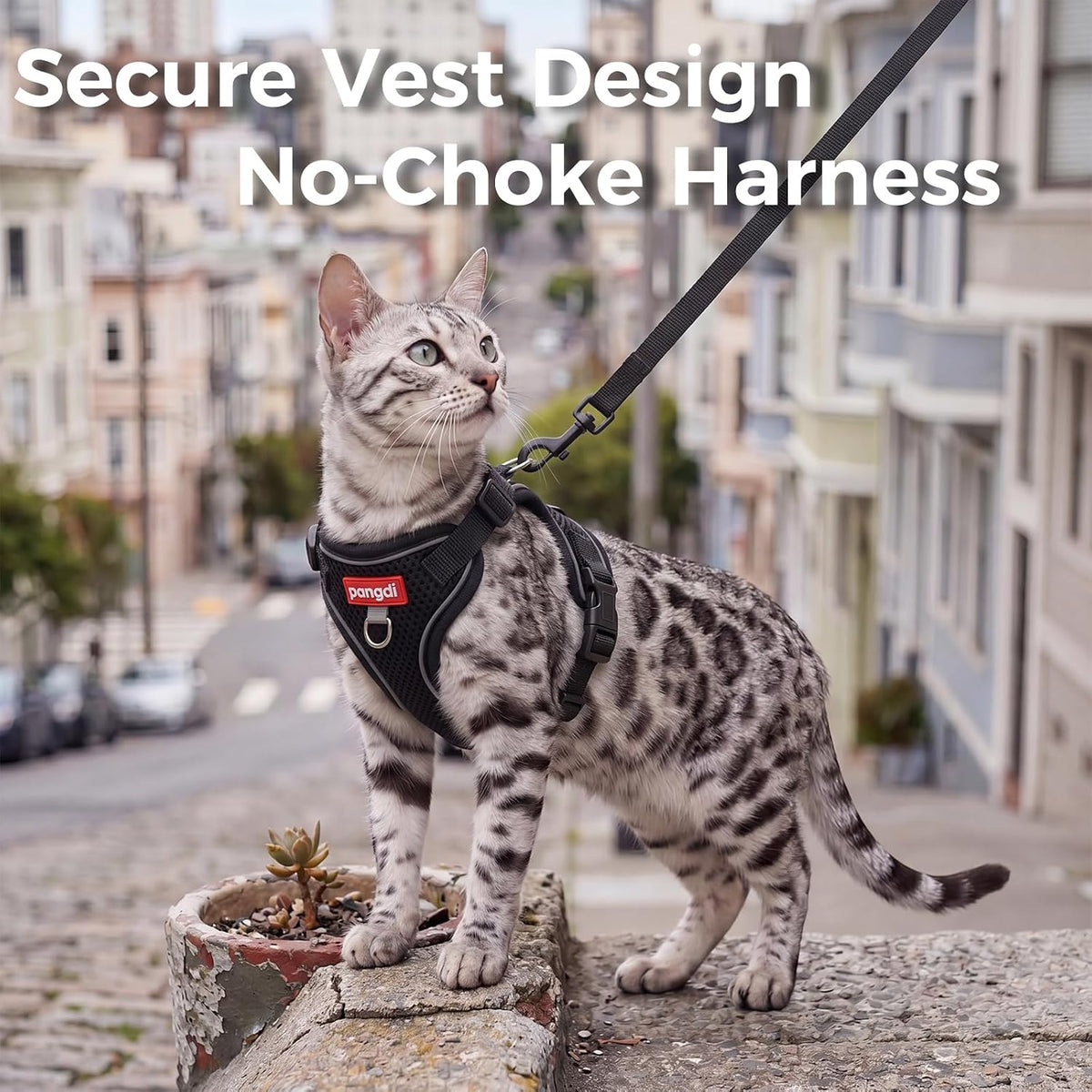 Cat Harness and Leash Set, Lightweight Air-Mesh Cat Vest, Black, XXL