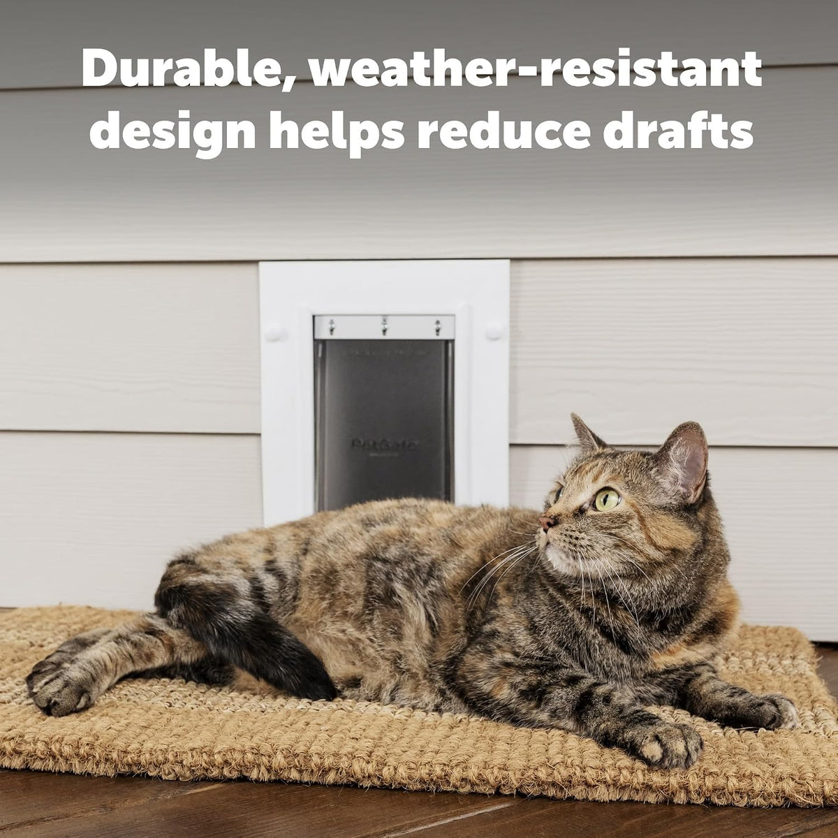 PetSafe Wall Entry Pet Door, Telescoping, Dogs up to 100 lb, Large