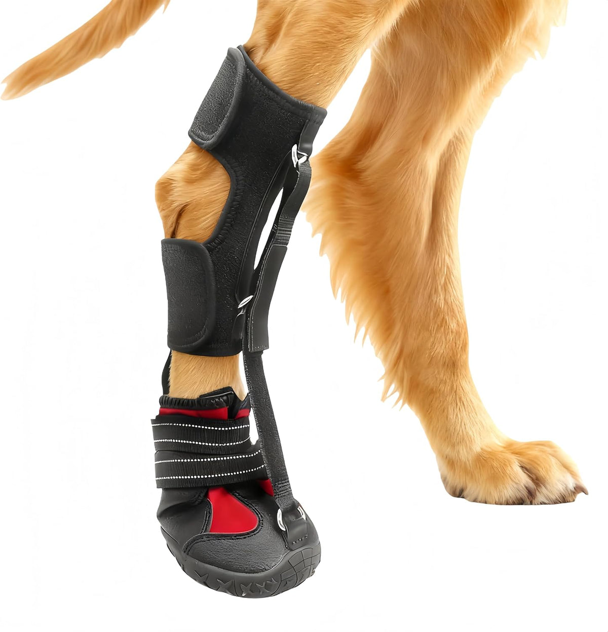 Paw Protectors for Dogs，Dog Brace for ACL Tear Back Leg，Corrective Dog Shoes Safely Lift Toes, Dog Brace for ACL Tear, A