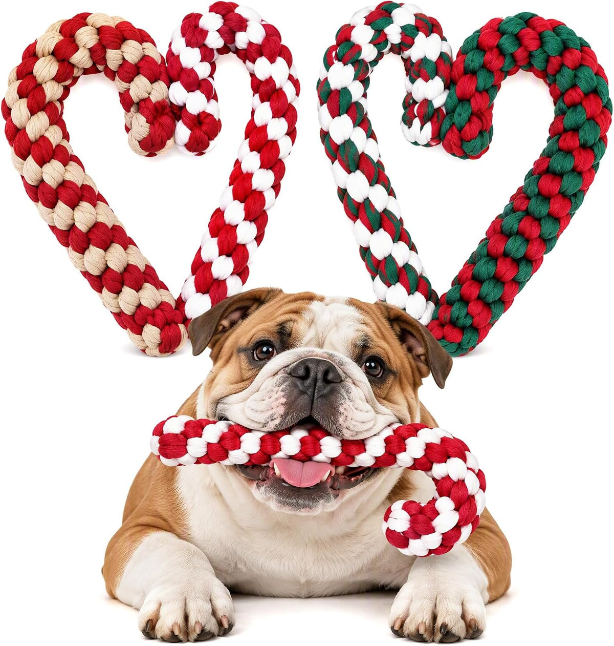 4 Pack Christmas Dog Rope Toys, Candy Cane Pet Toys for Interactive Play