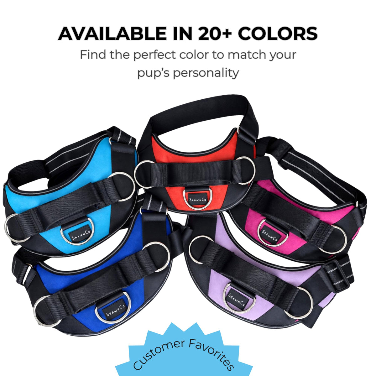 ShawnCo Essential Dog Harness, No-Pull Pet Vest (Oceanic Blue,S)