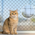 Cat Netting for Balcony 10x20ft, Black Nylon Anti-Fall Pet Safety Mesh - Cat Proof Balcony Net for Apartments, Stairs, W