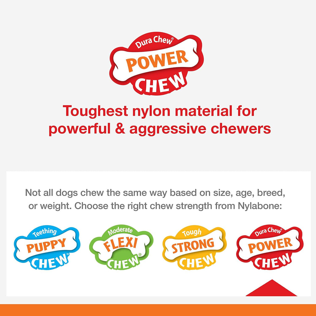 Nylabone Lobster Power Chew Toy for Dogs, Dog Toys for Aggressive Chewers