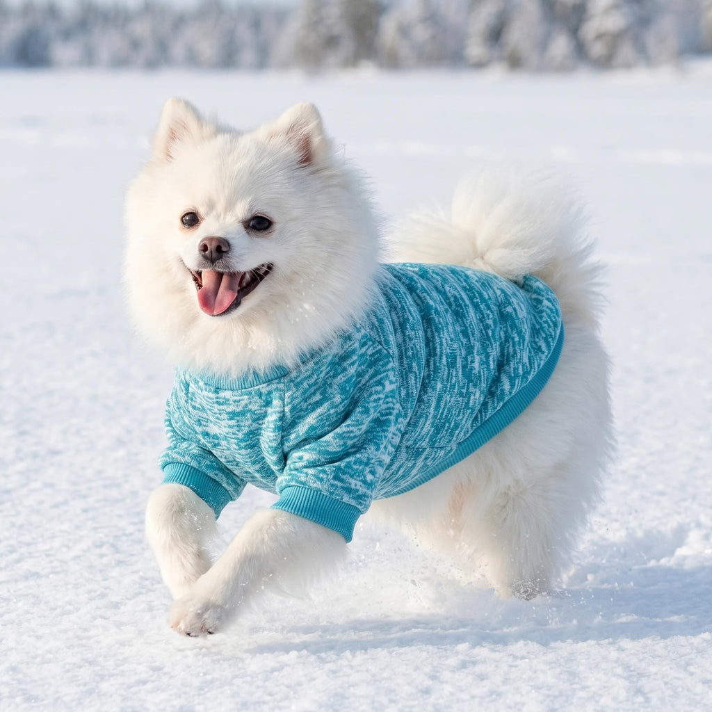 BAOBICUTE 3 Pack Dog Sweaters for Small Dogs Girl Boy Winter Fleece Clothes Warm Soft Dog Sweatshirt Outfit for Dogs Cats Pet Apparel