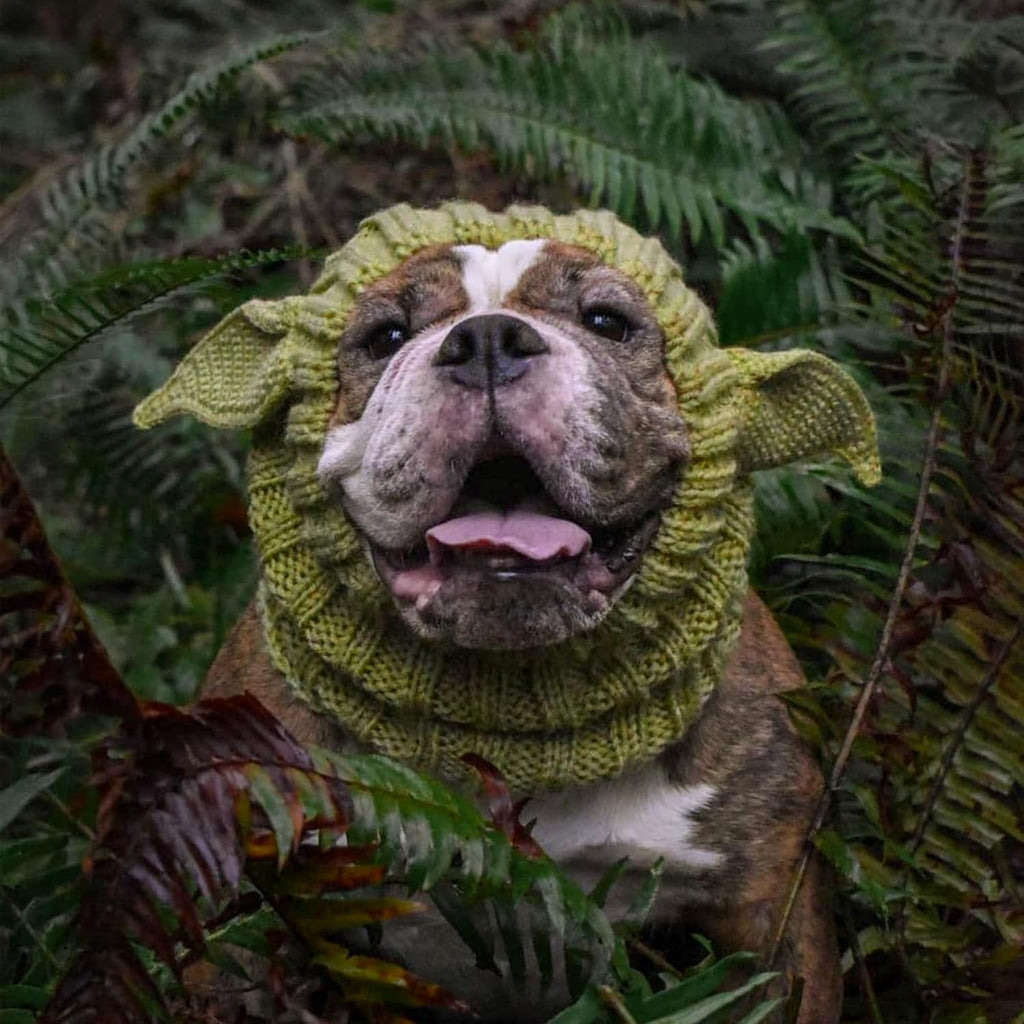 Baby Yoda Costume - Alien Dog Costume (Medium)