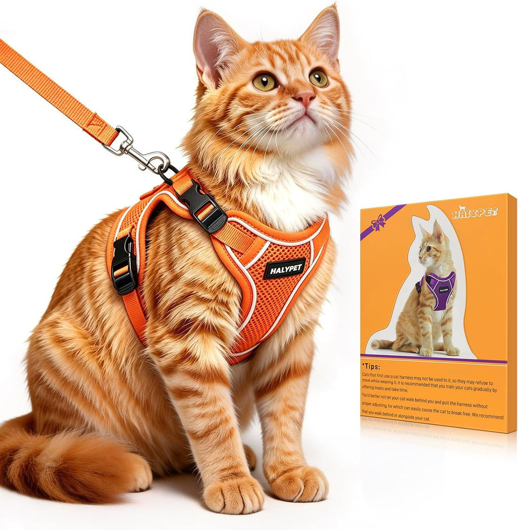 Cat Harness and Leash Set,Escape Proof Kitten Harness,Black