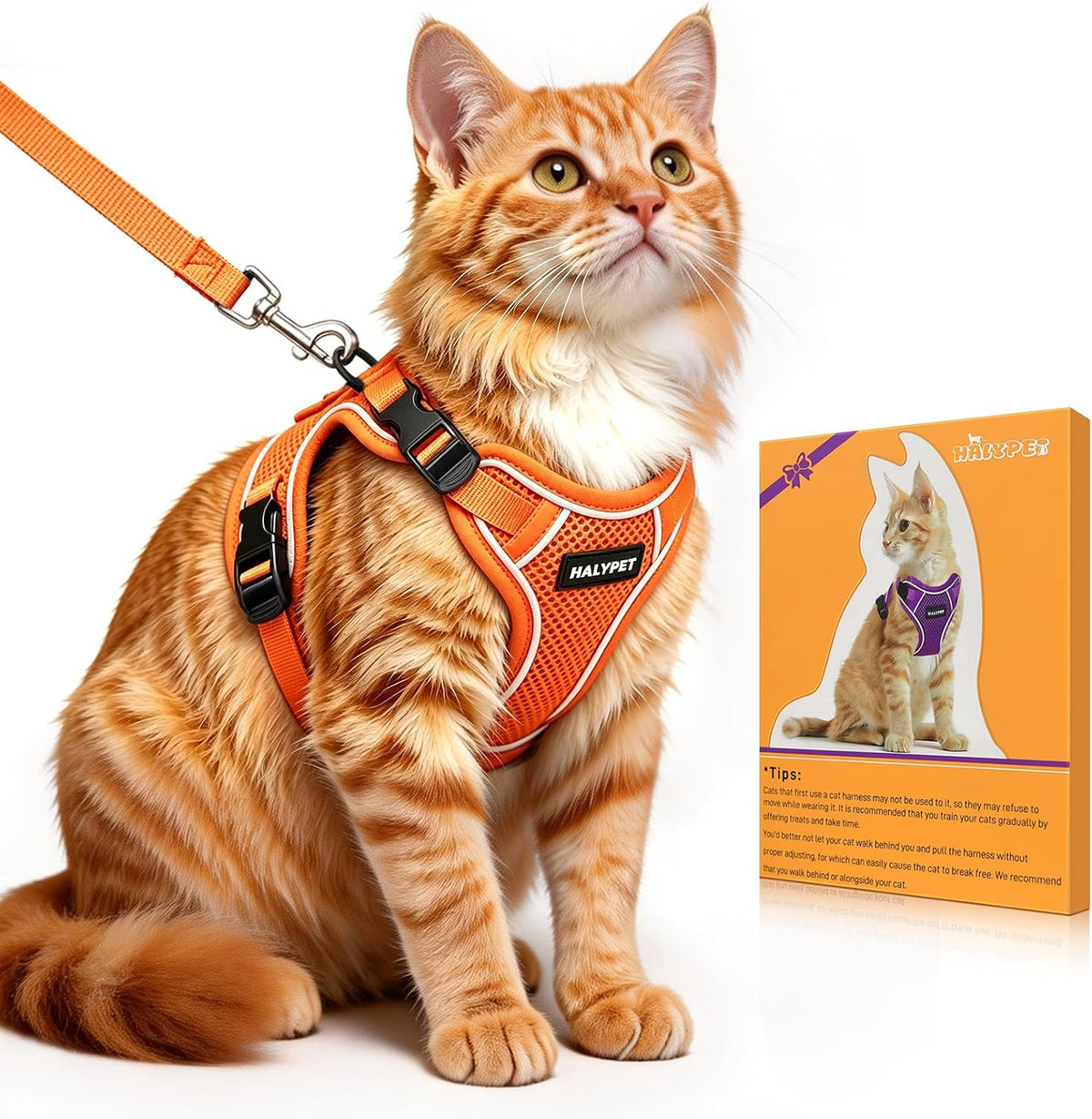 Cat Harness and Leash Set,Escape Proof Kitten Harness,Black