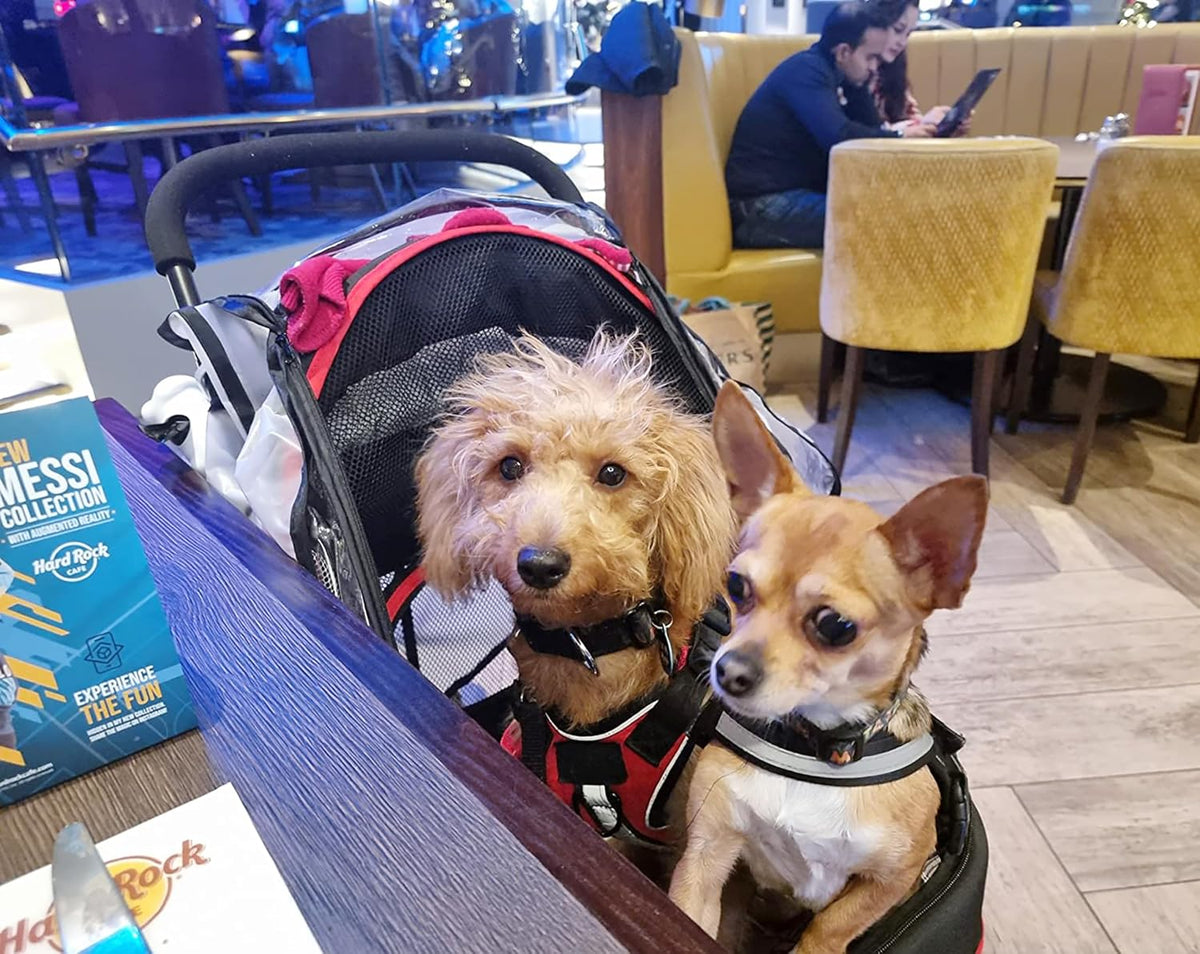 ROODO Escort 3 Wheel Dog Cat Pet Stroller for Small/Medium Dogs Cats Best Lightweight Foldable Portable Compact Jogger T
