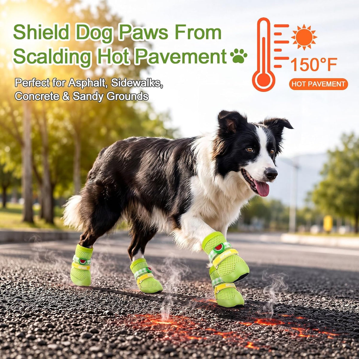 Dog Shoes for Small Medium Dogs 2 Sets Breathable Mesh Booties