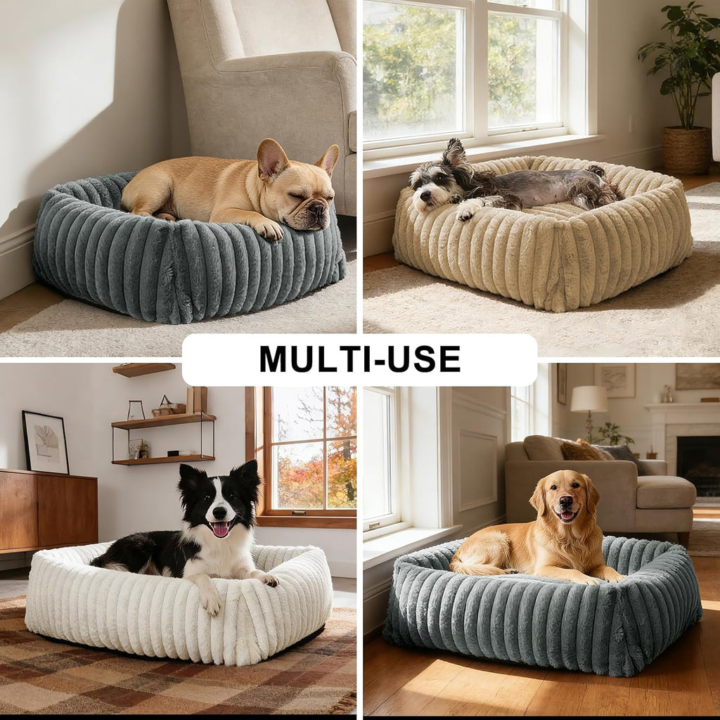 FURTIME Washable Dog Bed for Small Dogs, Cat Beds for Indoor Cats, 20"