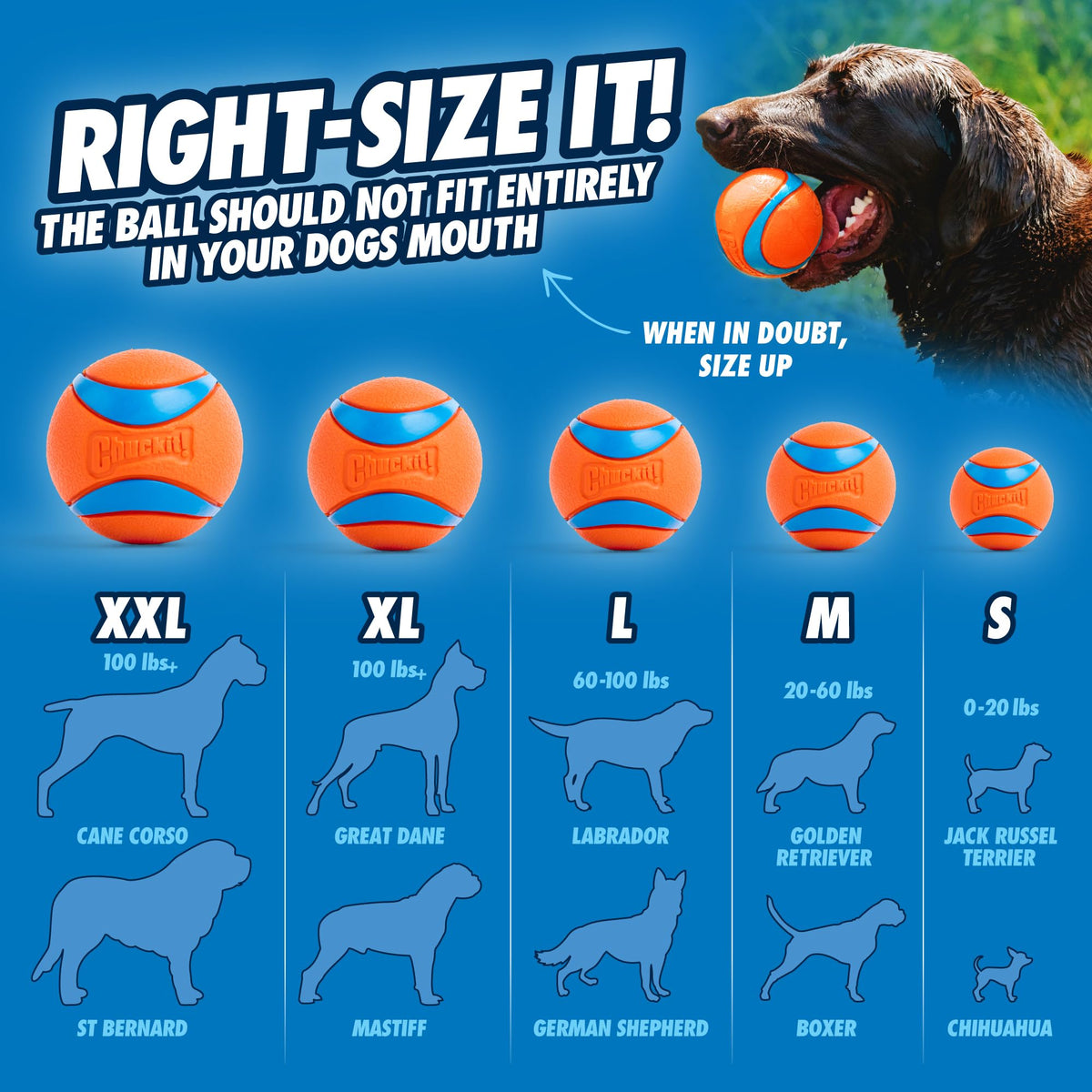 Chuckit! Classic 26M Dog Ball Launcher, 26in, Includes Medium 2.5in Ball