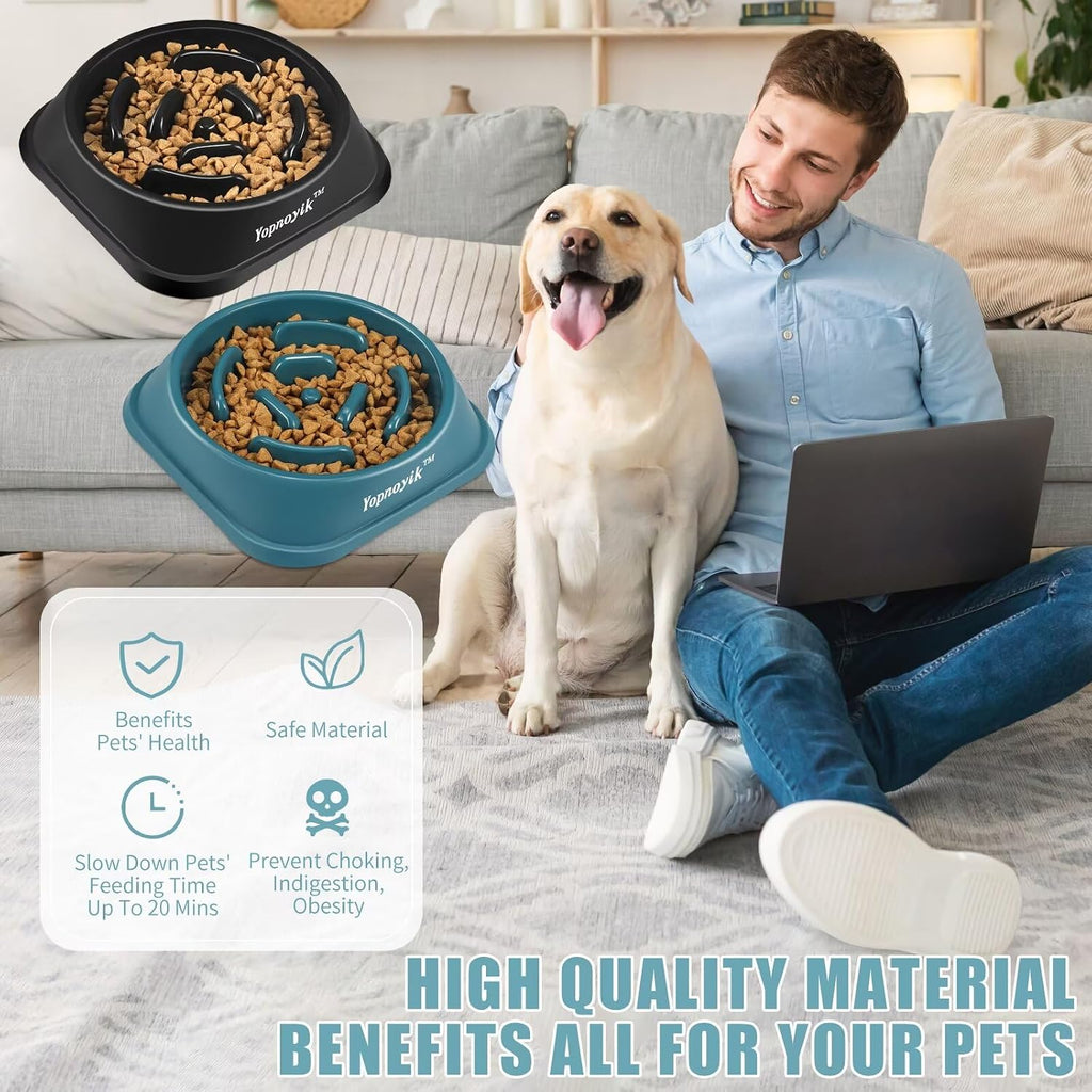 2 Pack Slow Feeder Dog Bowls for Medium Dogs & Cats